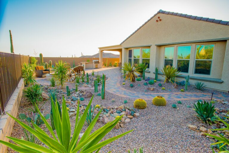 1 Landscaping Tucson Company Santa Rita Landscaping