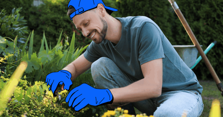 10 Best Rated Local Landscapers Near You Free Quotes Airtasker US