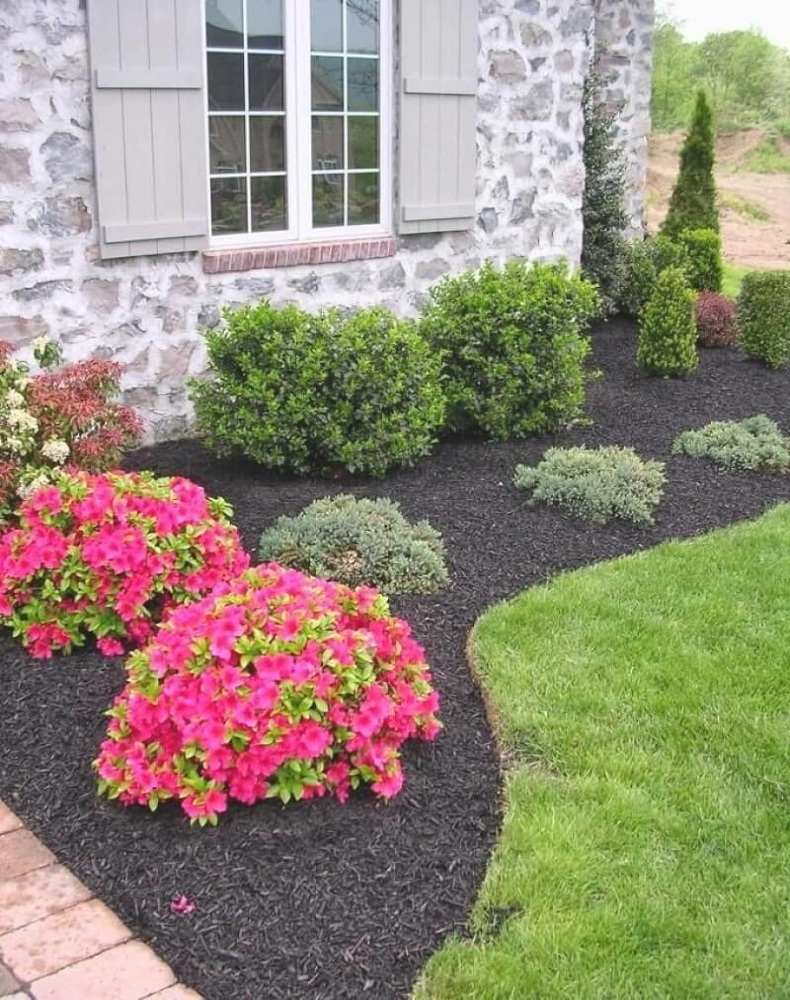10 Inexpensive Landscaping Ideas For Your Yard Green Gold