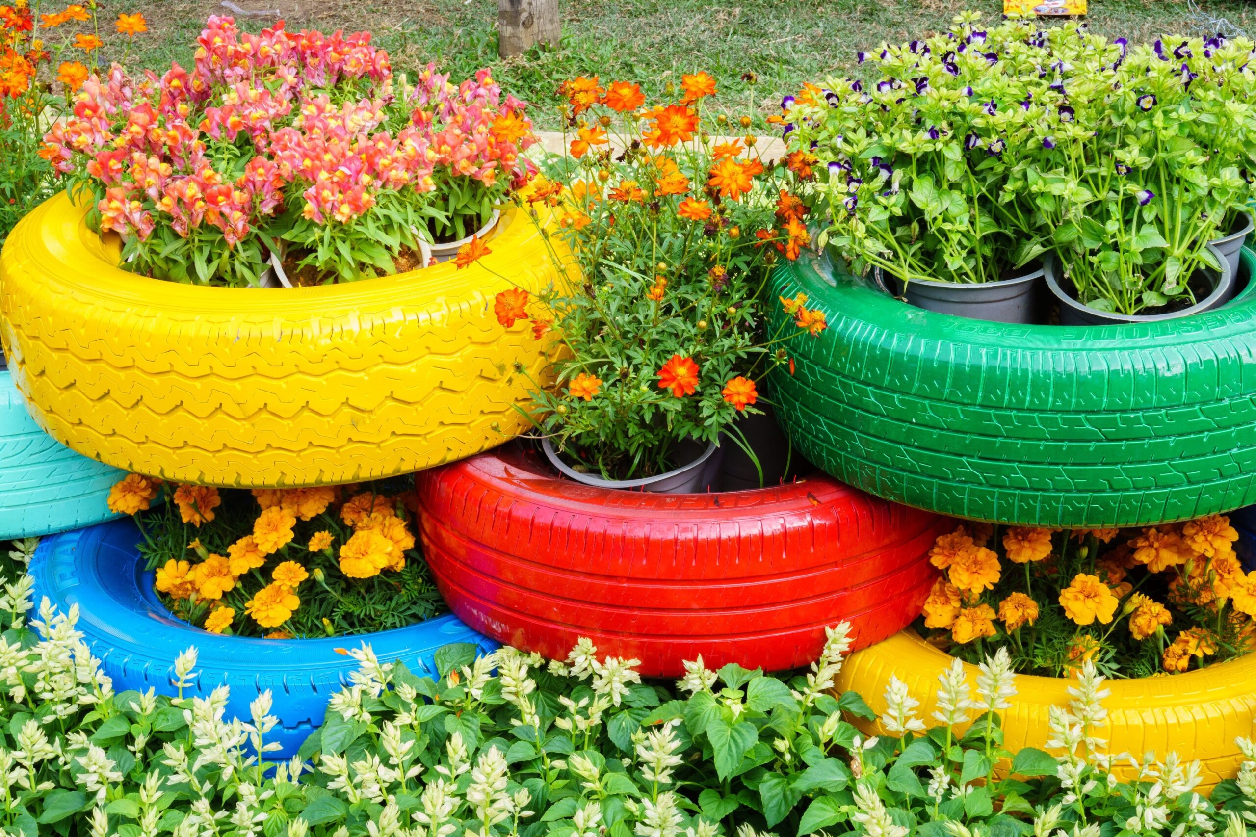 11 Budget Friendly and Easy Landscape Design Ideas For The Backyard