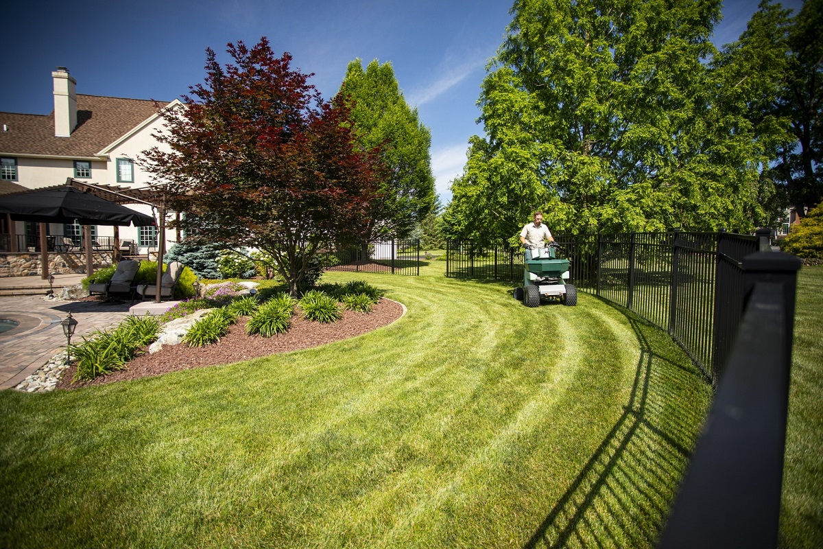 11 Tips For A Tree Service Business Adding Lawn Care w Video 