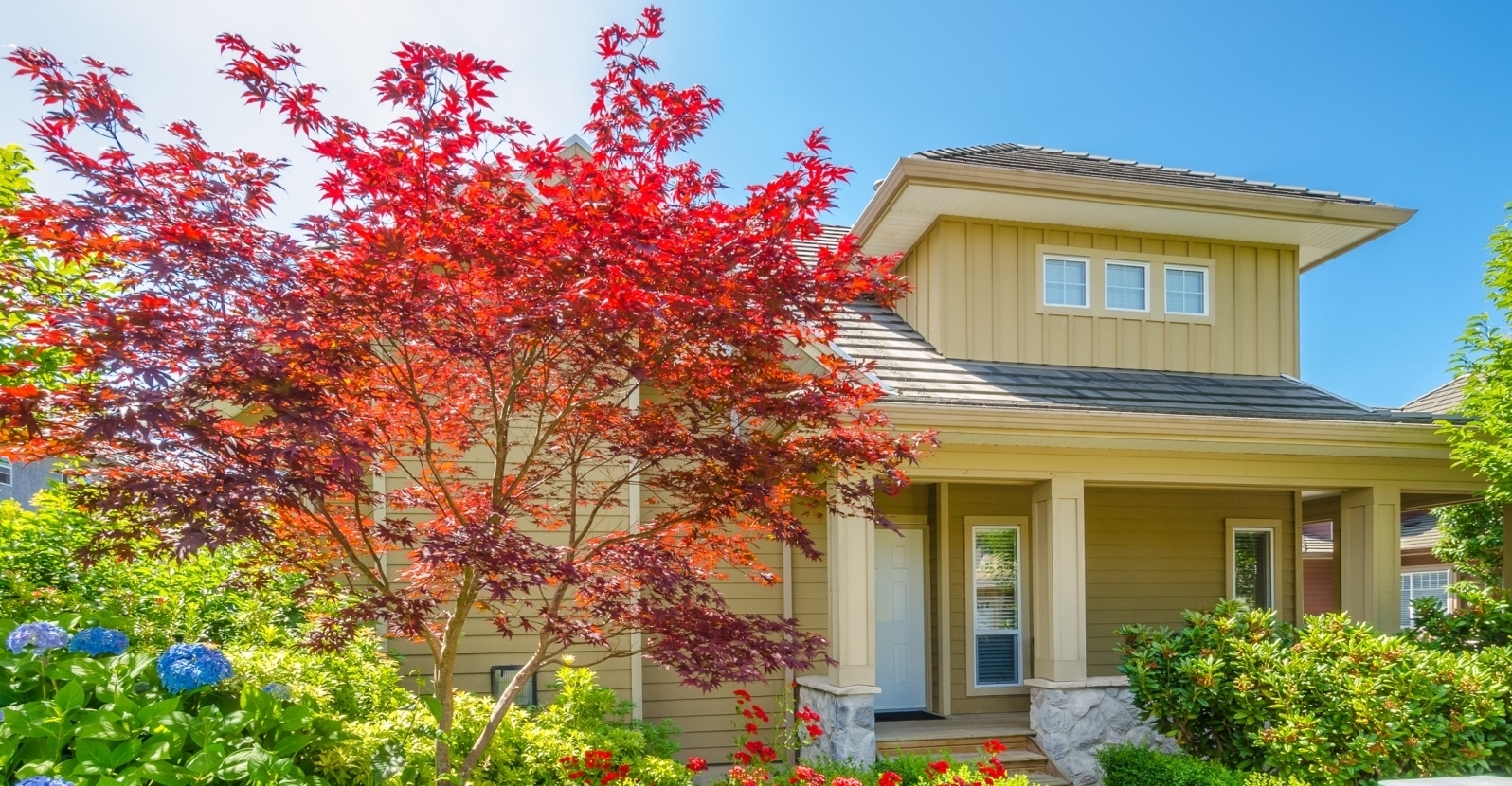 12 Small Trees For A Big Landscape Look