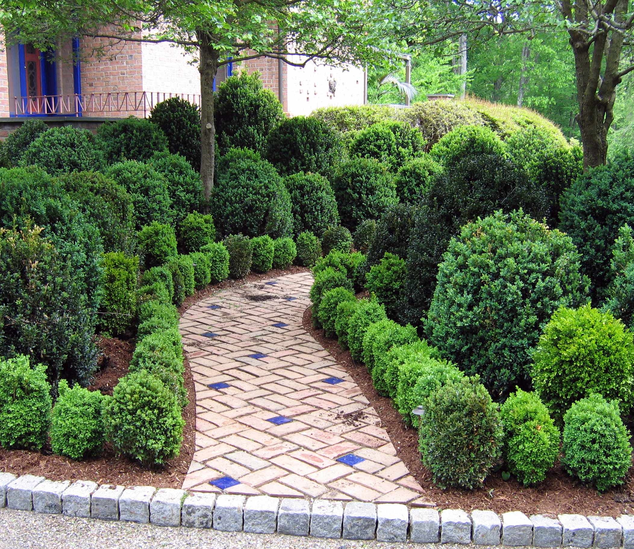 12 Ways To Use Evergreen Boxwoods In Your Landscape