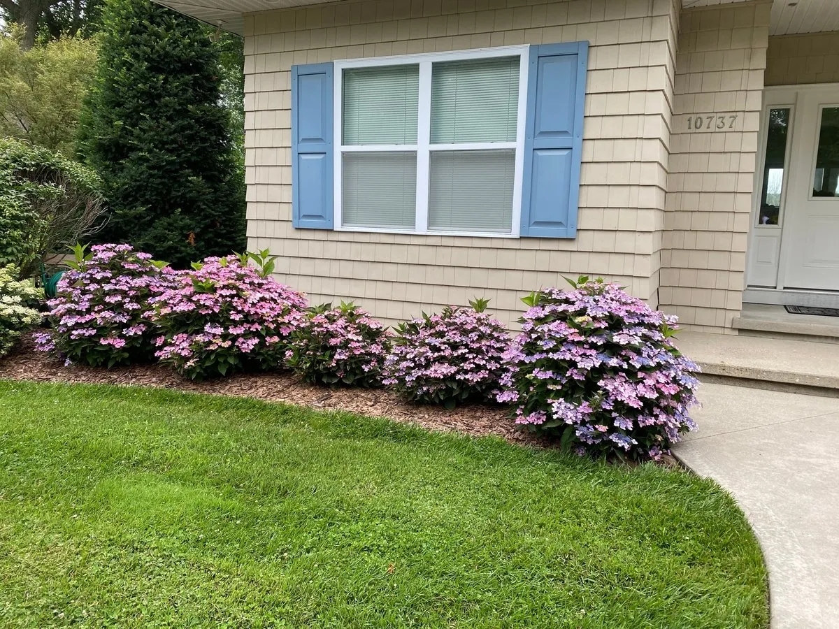 low maintenance front yard landscaping