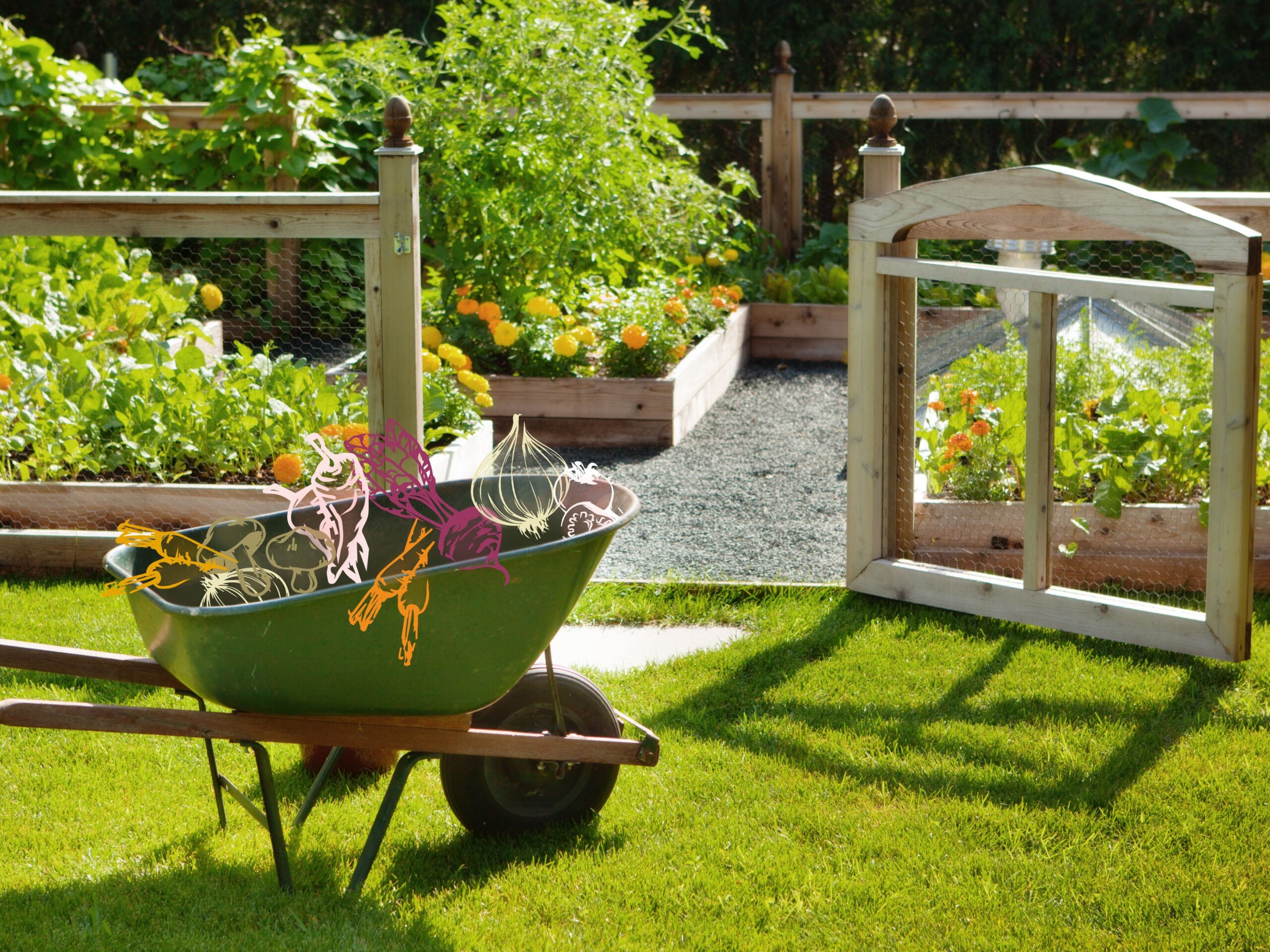 gardening and landscaping ideas