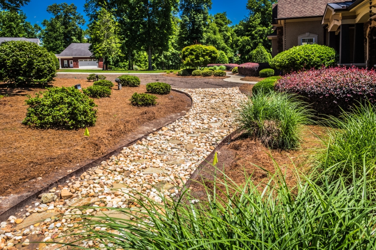 16 Innovative Ways To Use Pine Needles In The Garden Gardening