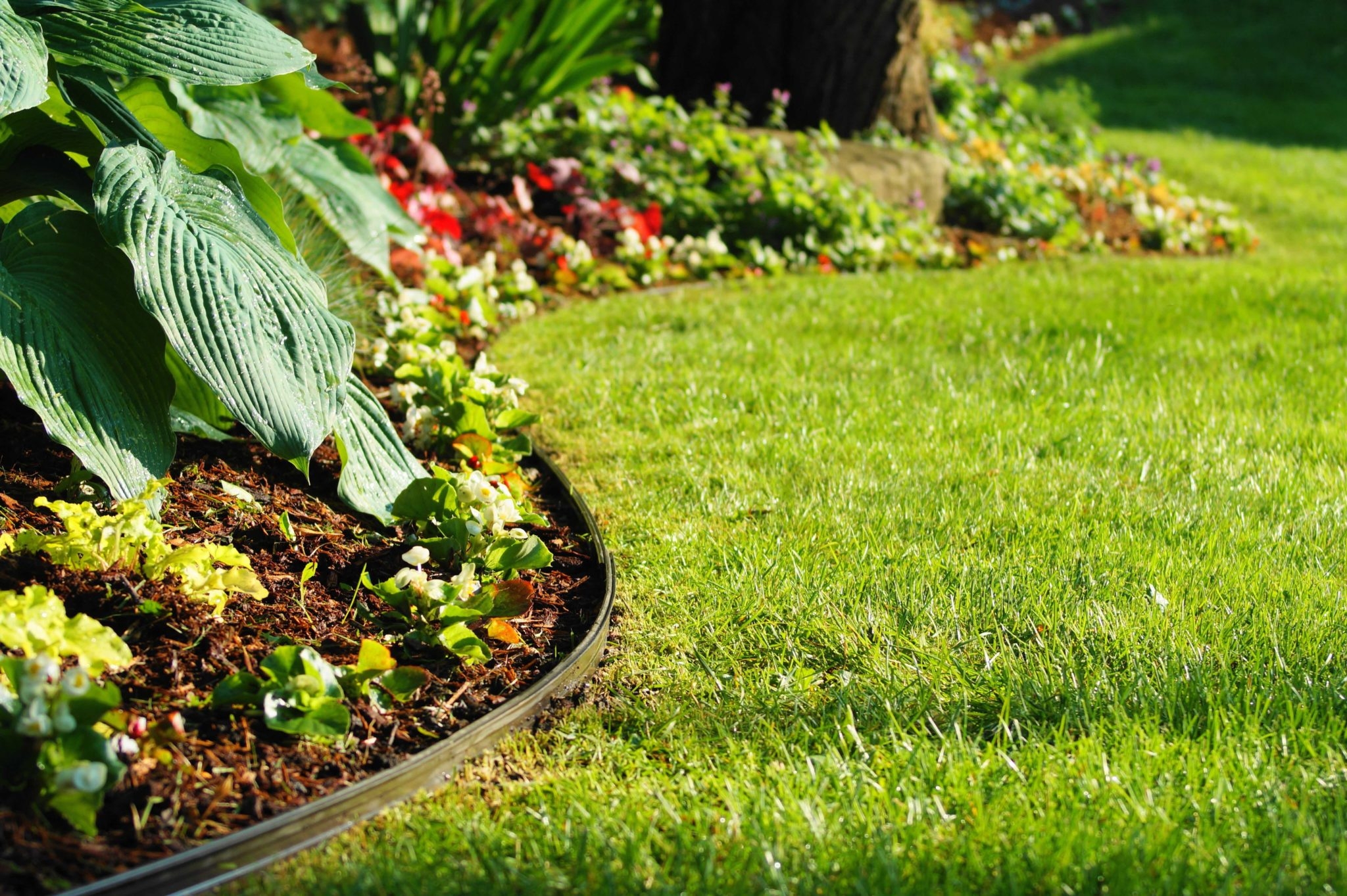 160 Ft Aluminum Garden Edging The Landscape Market