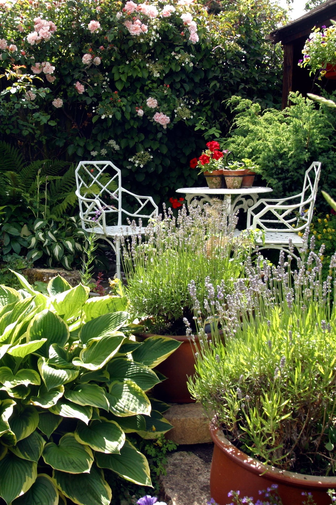 17 Small Garden Ideas For Your Tiny Lawn Architectural Digest
