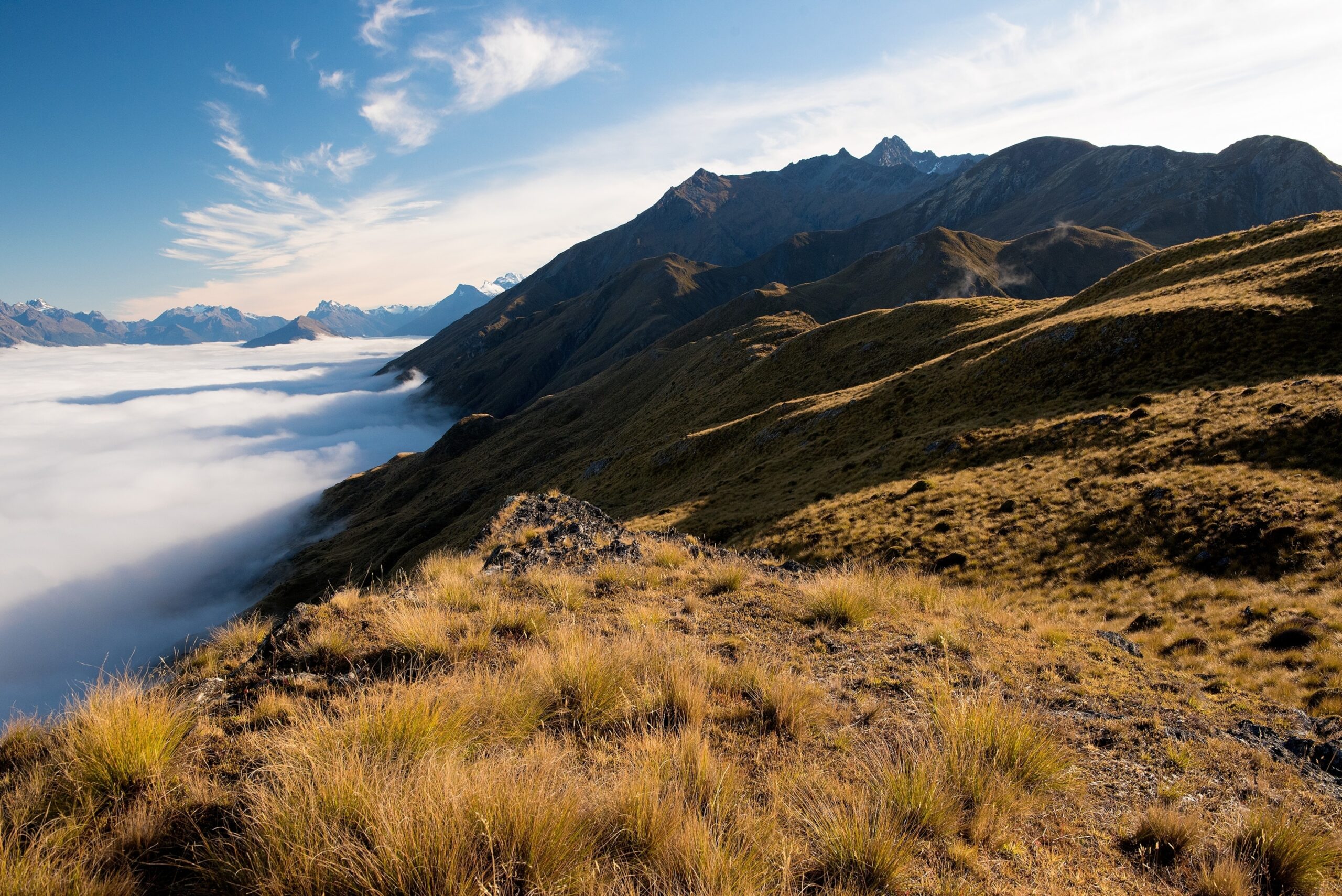 19 Epic Landscapes In New Zealand National Geographic