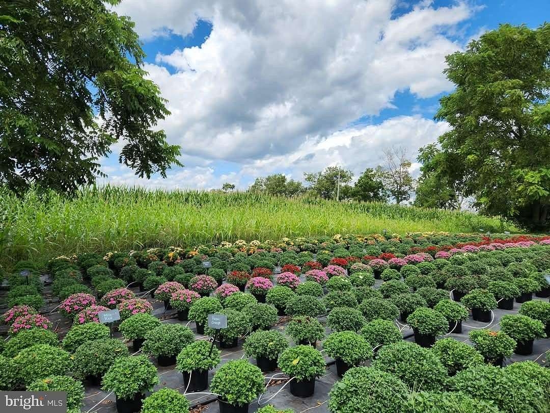 pineloft landscape and garden center pineloft landscape and garden center