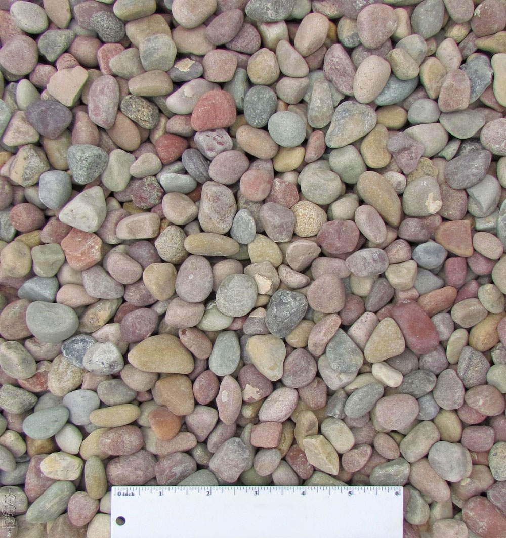 2 X 3 Pami Aptos Landscape Supply