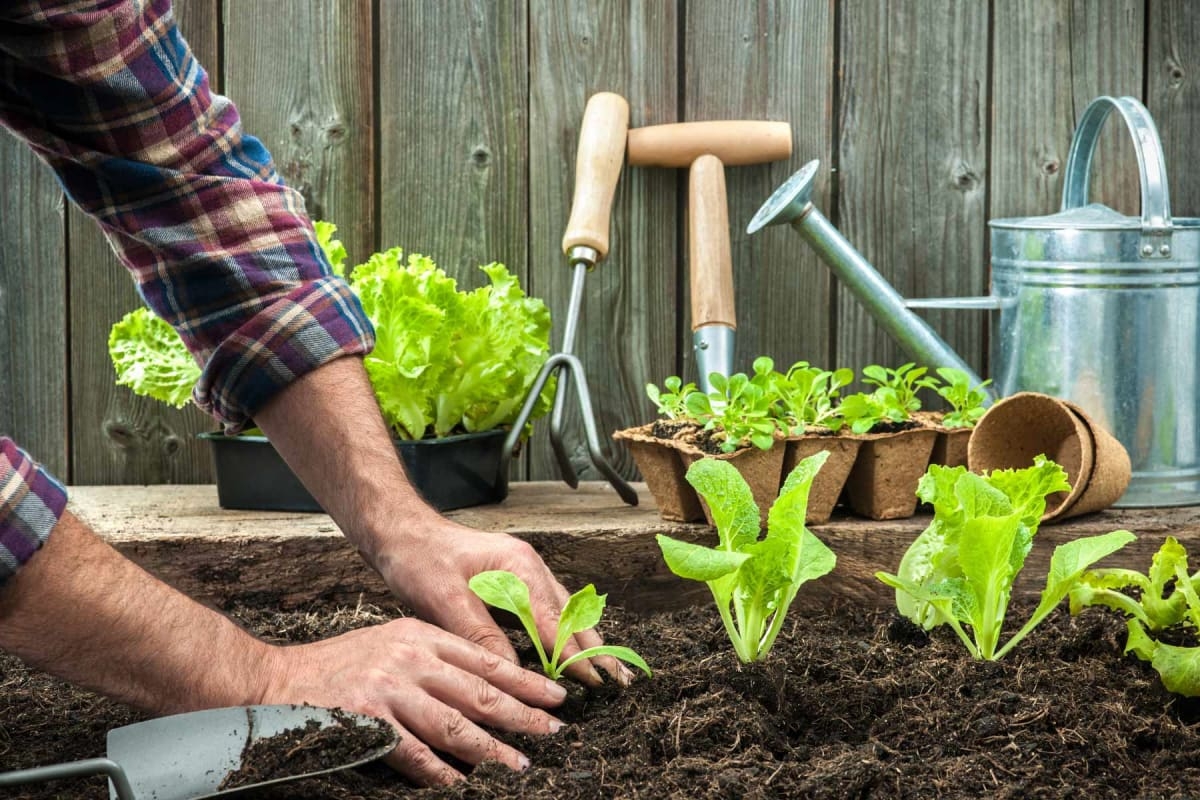 landscape gardeners near me prices