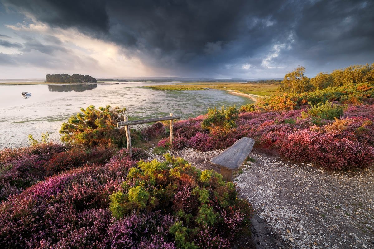 2025 Landscape Nature Photography Workshops Landscape Photography By Jack Lodge Dorset Landscape Photographer
