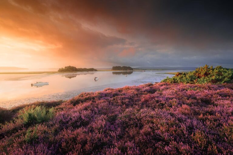 2025 Landscape Nature Photography Workshops Landscape Photography By Jack Lodge Dorset Landscape Photographer