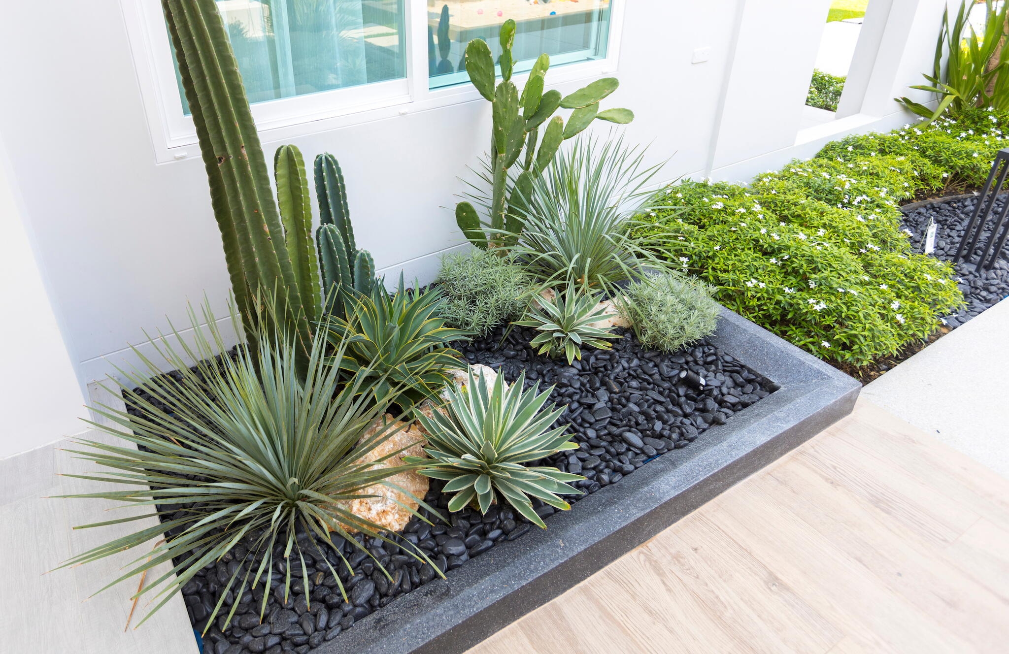 21 Inspiring Rock Garden Ideas Low Maintenance Modern And More Almanac