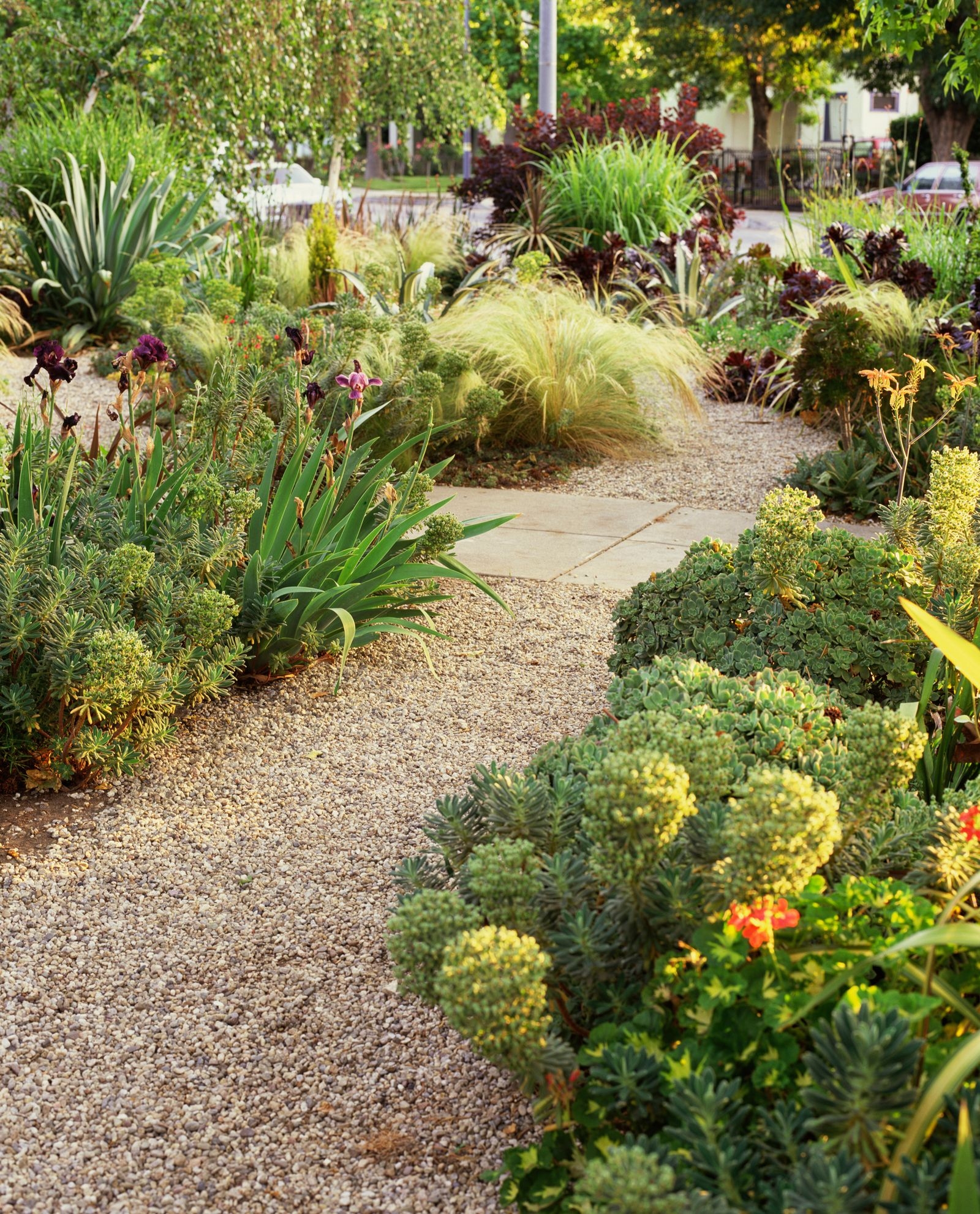 25 Low Maintenance Landscaping Ideas From Artificial Turf To Xeriscaping Architectural Digest