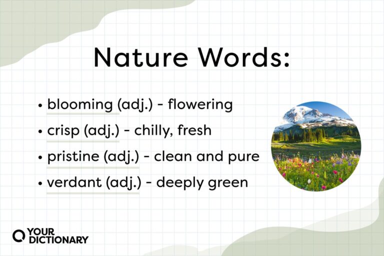 30 Nature Words To Describe The Beauty Of Earth YourDictionary