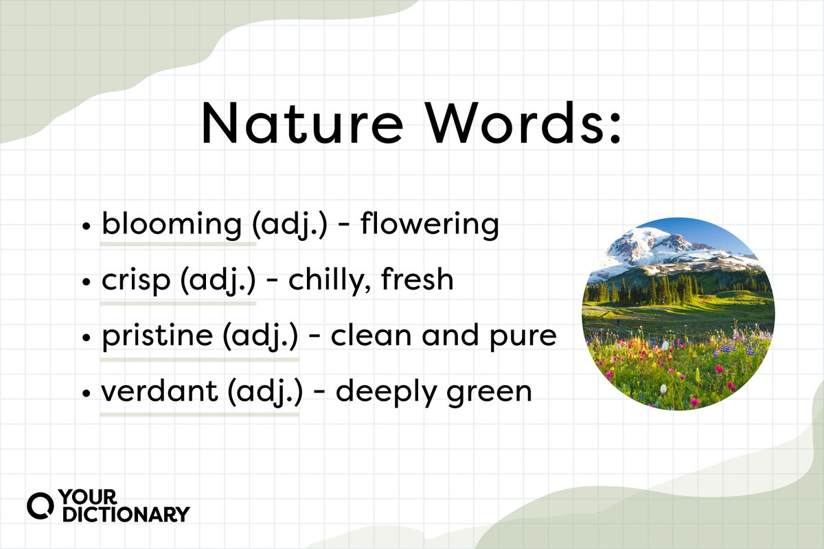 30 Nature Words To Describe The Beauty Of Earth YourDictionary