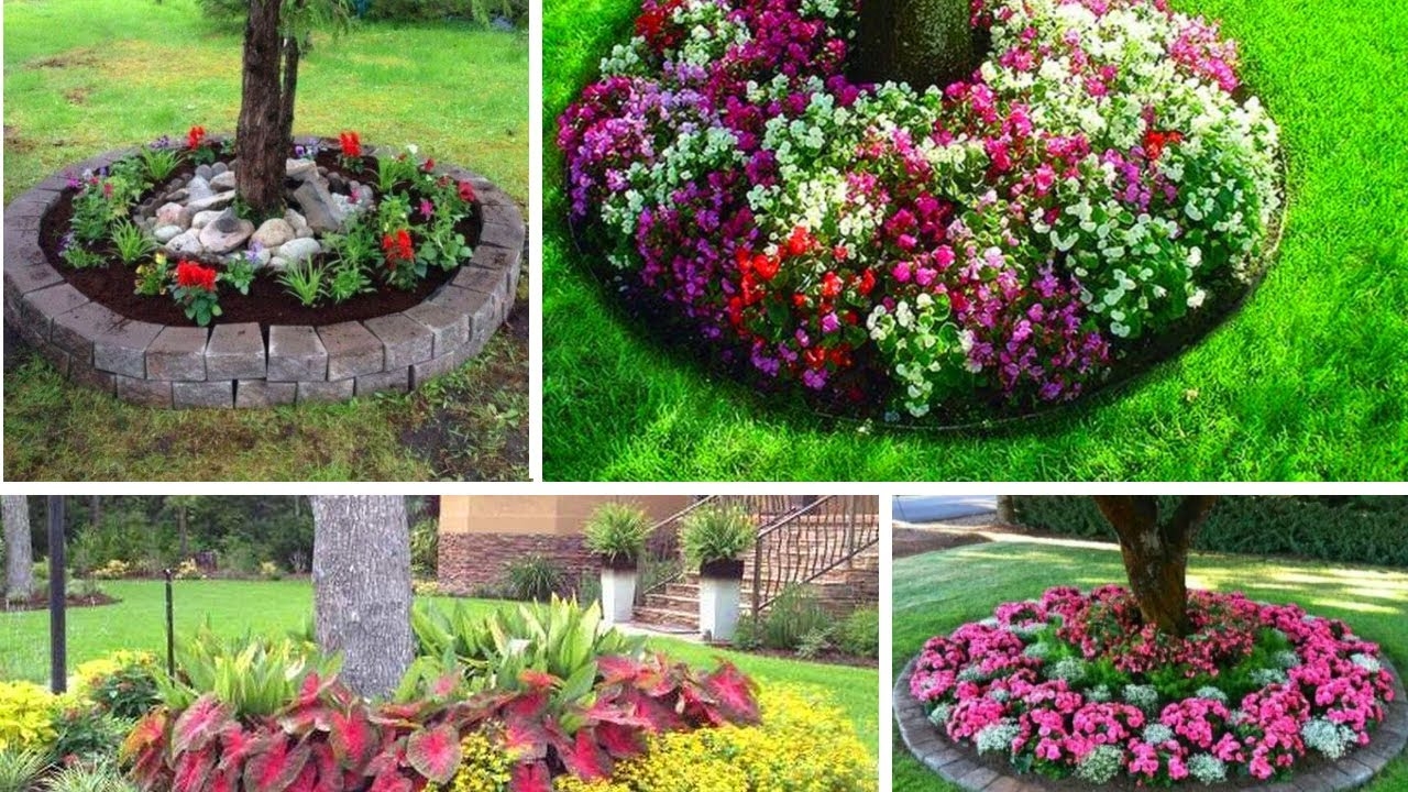 30 POPULAR TREE RING LANDSCAPE DESIGN IDEAS FOR YOUR GARDEN YouTube