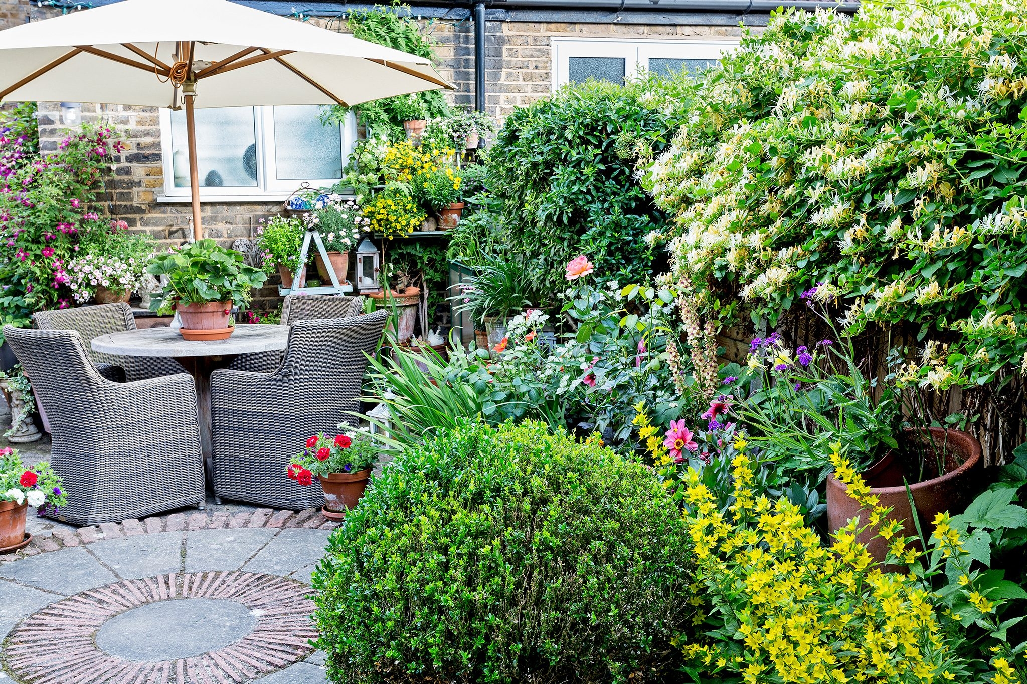 30 Small Garden Design Ideas BBC Gardeners World Magazine