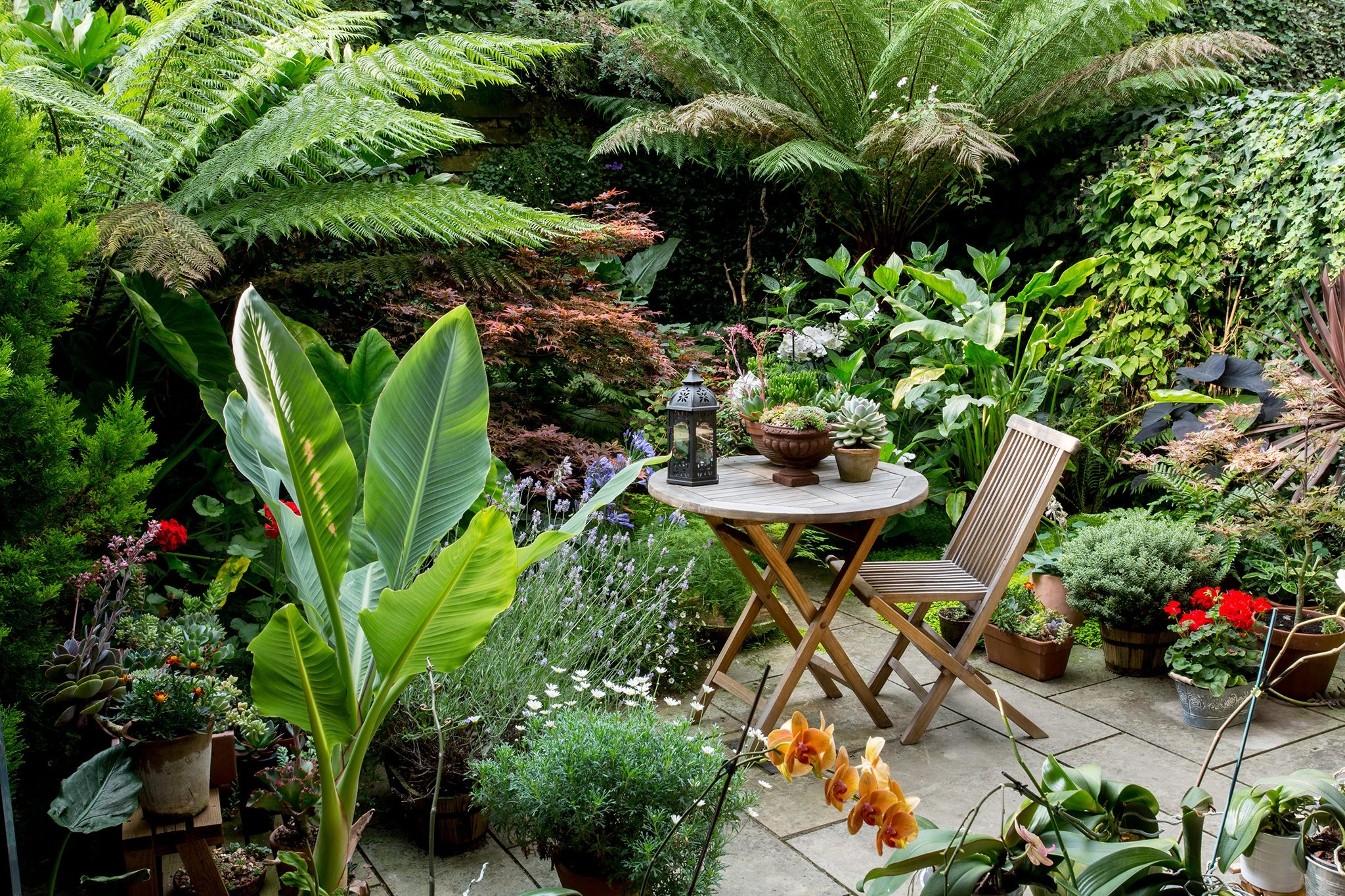 30 Small Garden Design Ideas BBC Gardeners World Magazine