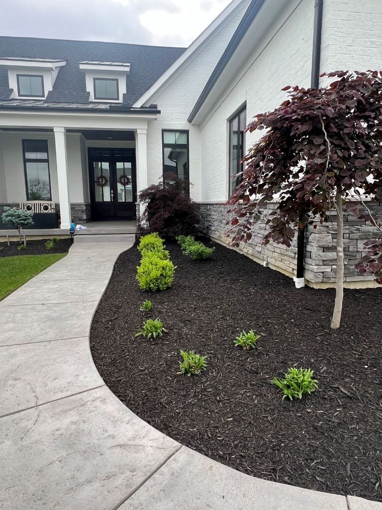 43 Stylish Black Mulch Landscaping Ideas DigsDigs