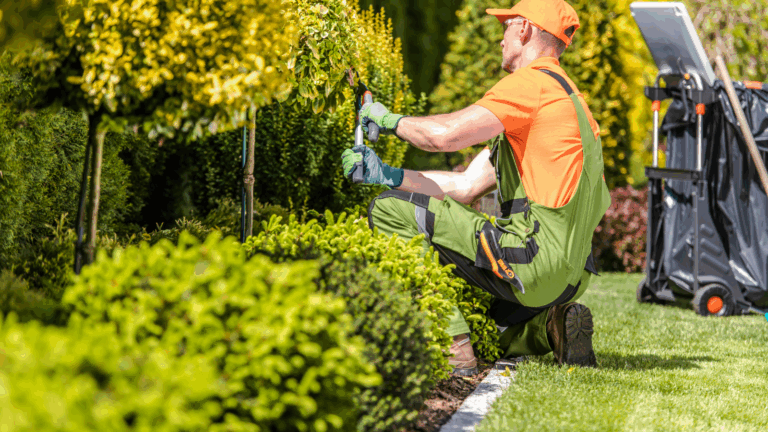 5 Benefits Of Hiring A Landscaping Service