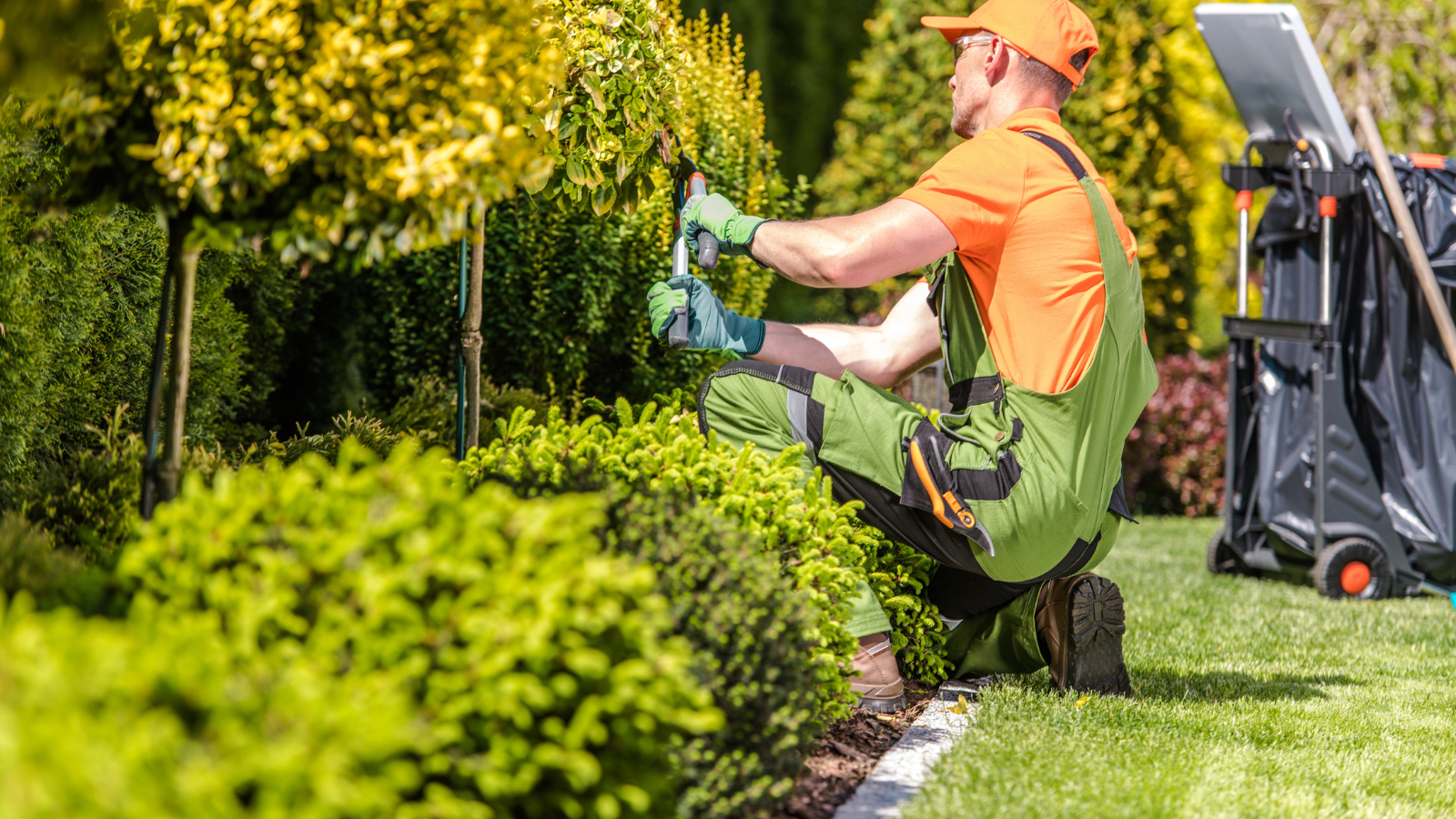 5 Benefits Of Hiring A Landscaping Service