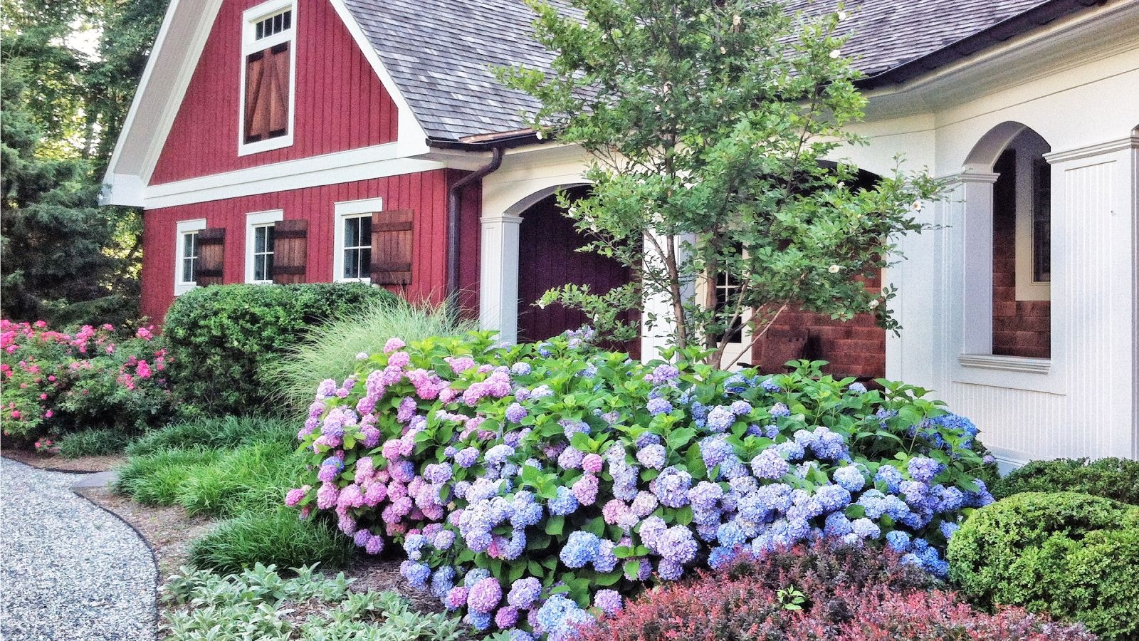 5 Brilliant Ways To Use Hydrangeas In Your Landscape Gardening Know How