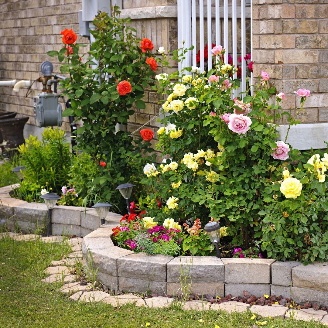 landscaping decorative stones