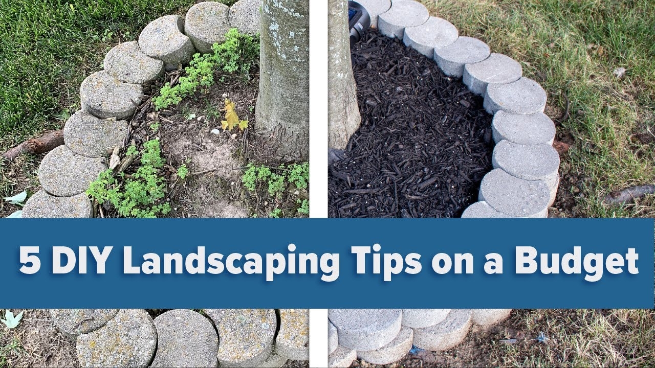 5 DIY Landscaping Tips On A Budget YouTube
