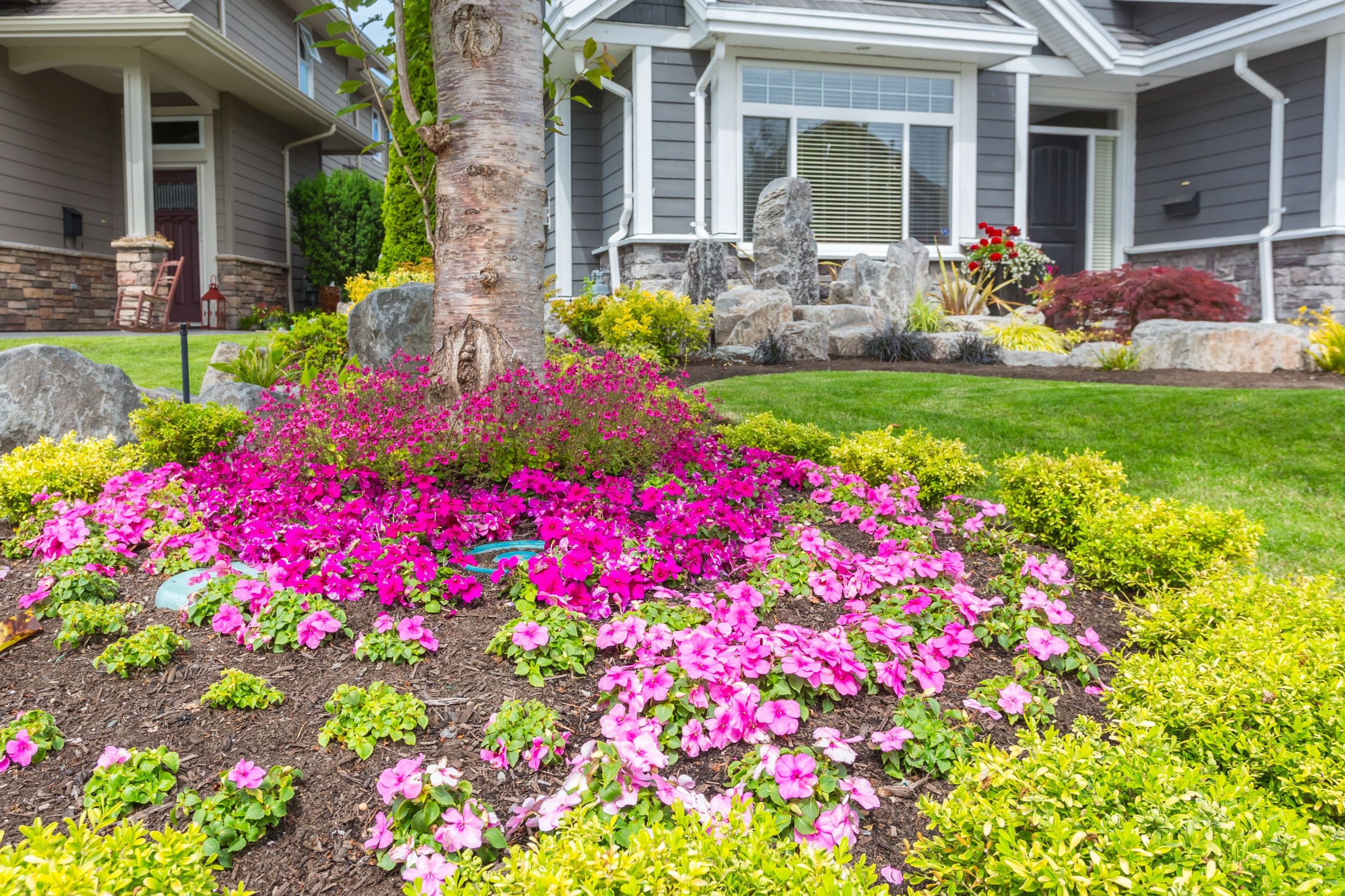 5 Landscaping Ideas For Around Trees