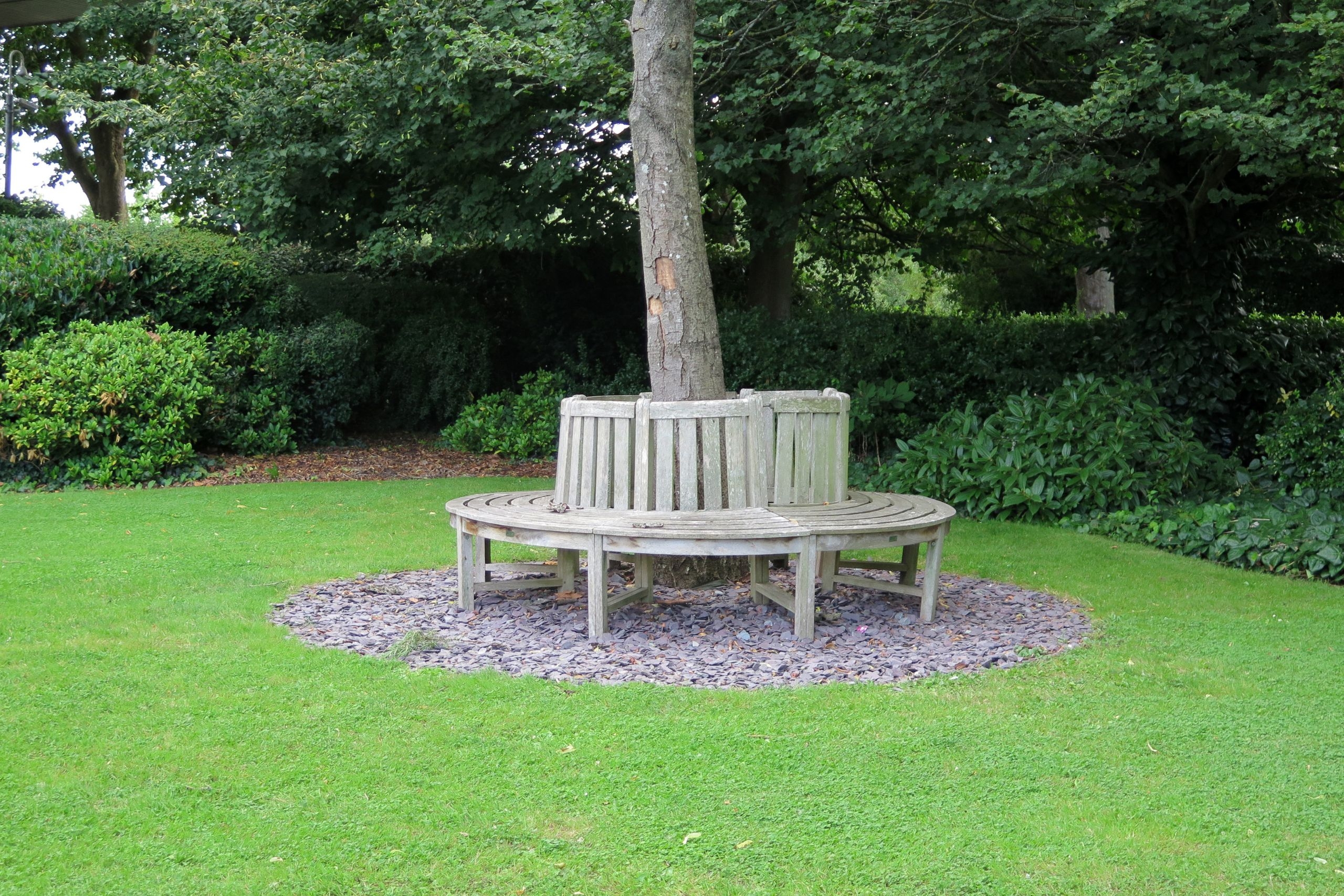 5 UNIQUE Landscape Ideas For Around A Tree TUTORIALS 