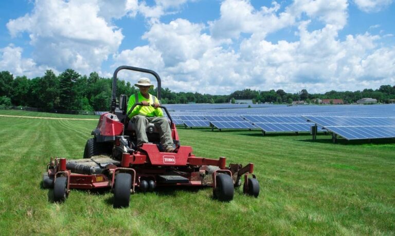 6 Commercial Lawn Care Services That Should Be Included In Your Contract