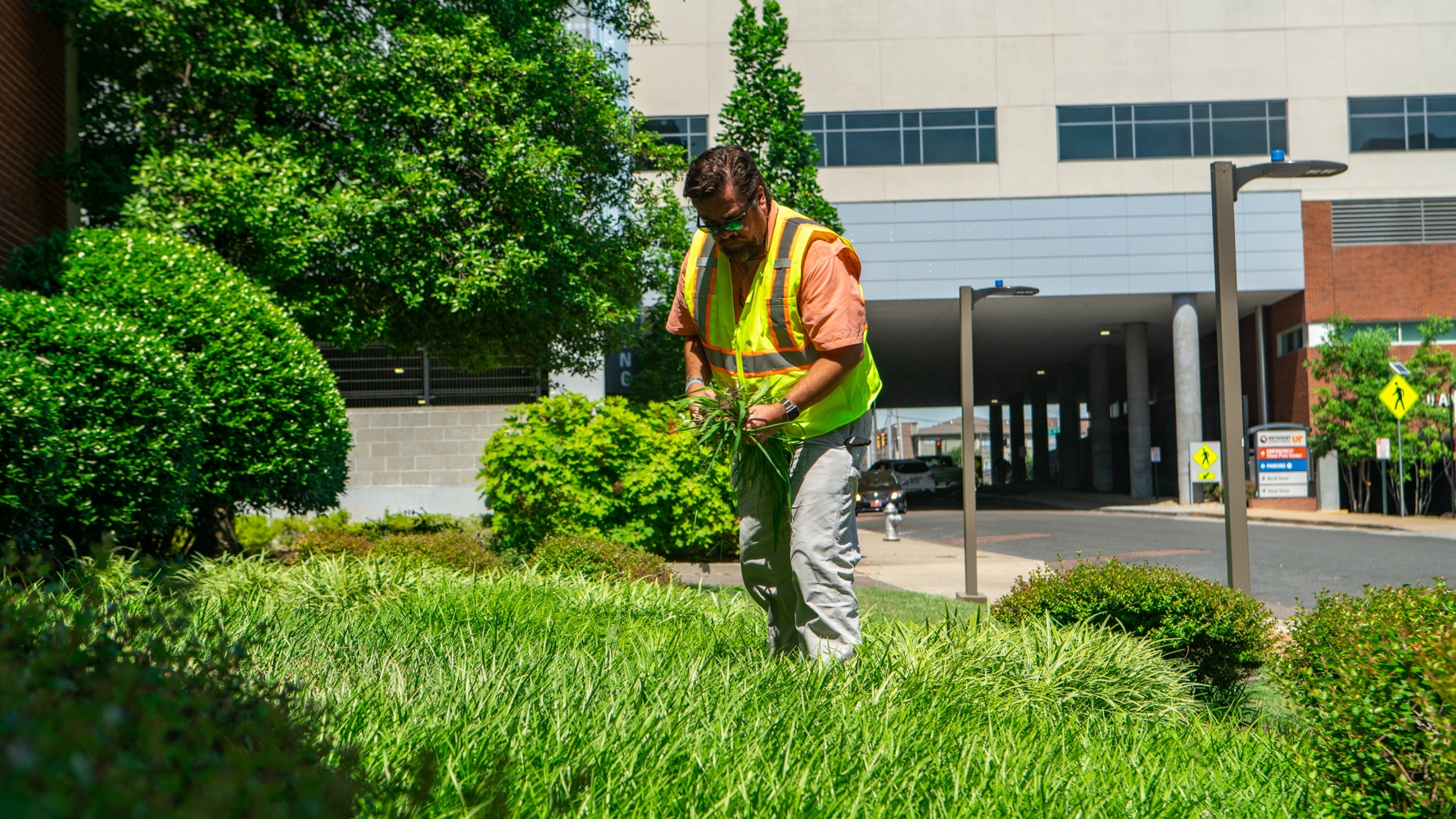 6 Commercial Property Landscape Problems And How To Solve Them