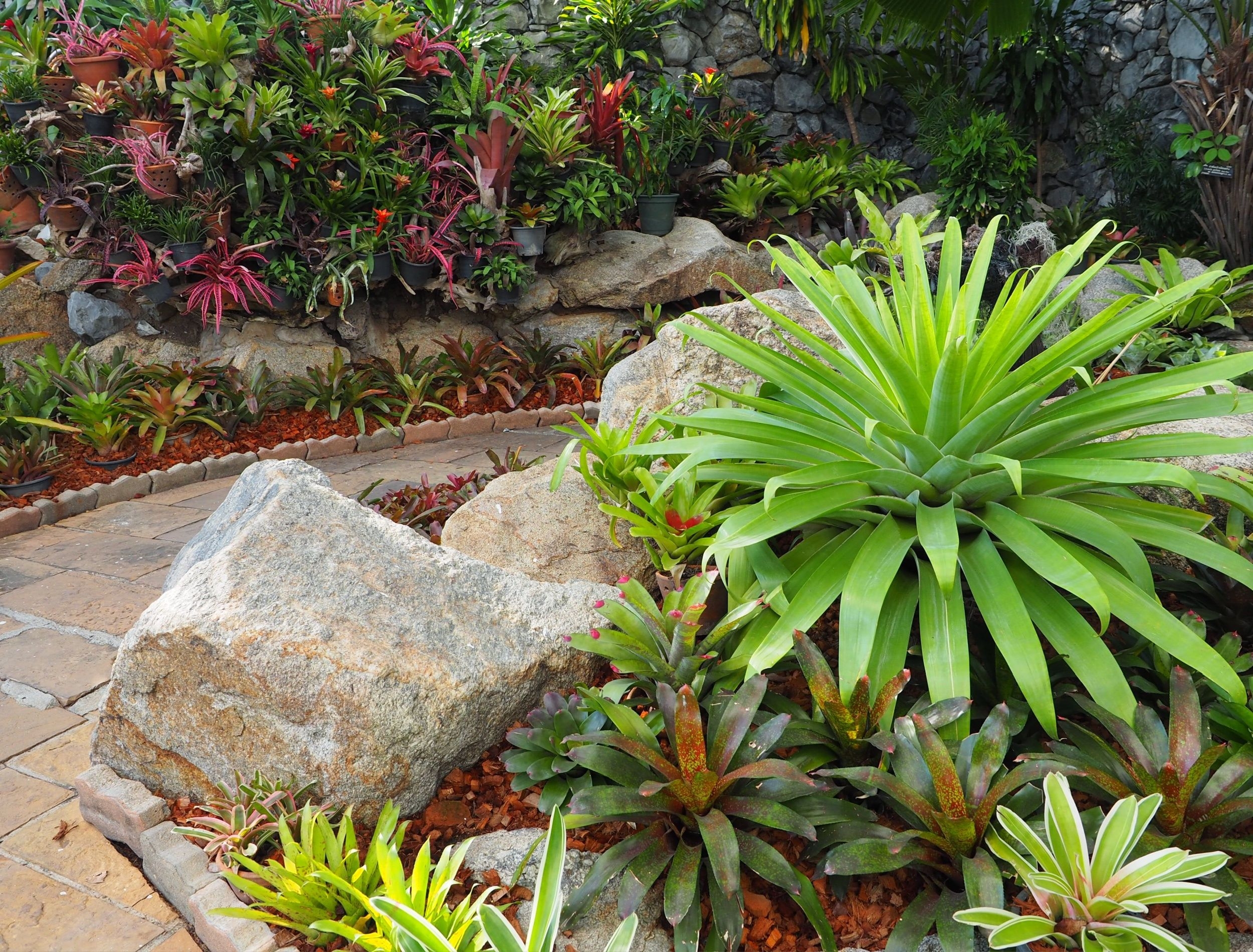 6 Easy Ways To Achieve A Low Maintenance Garden 6 Easy Ways To Achieve A Low Maintenance Garden