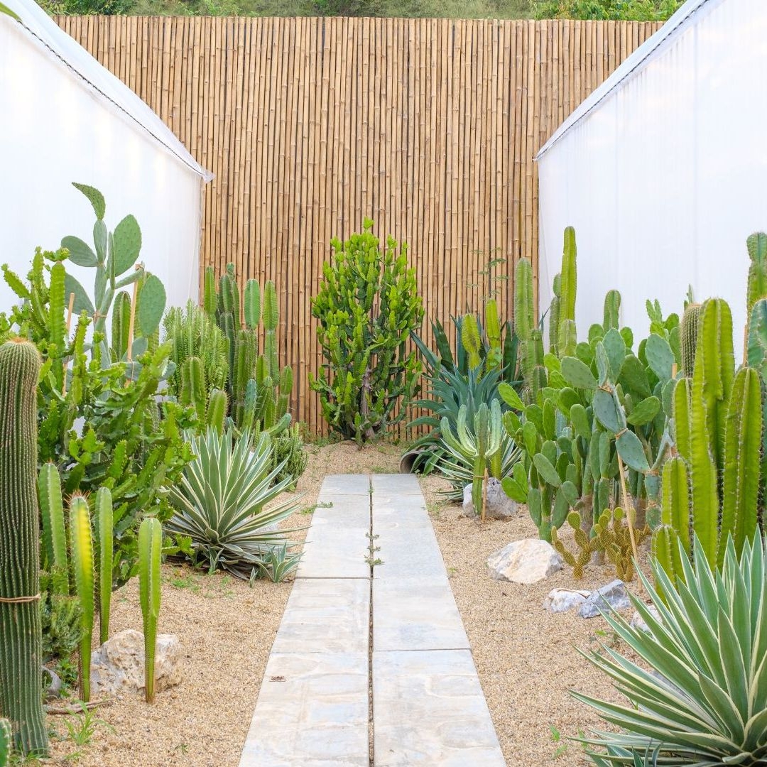 7 Succulent Garden Ideas That Will Elevate Your Outdoor Space Livingetc