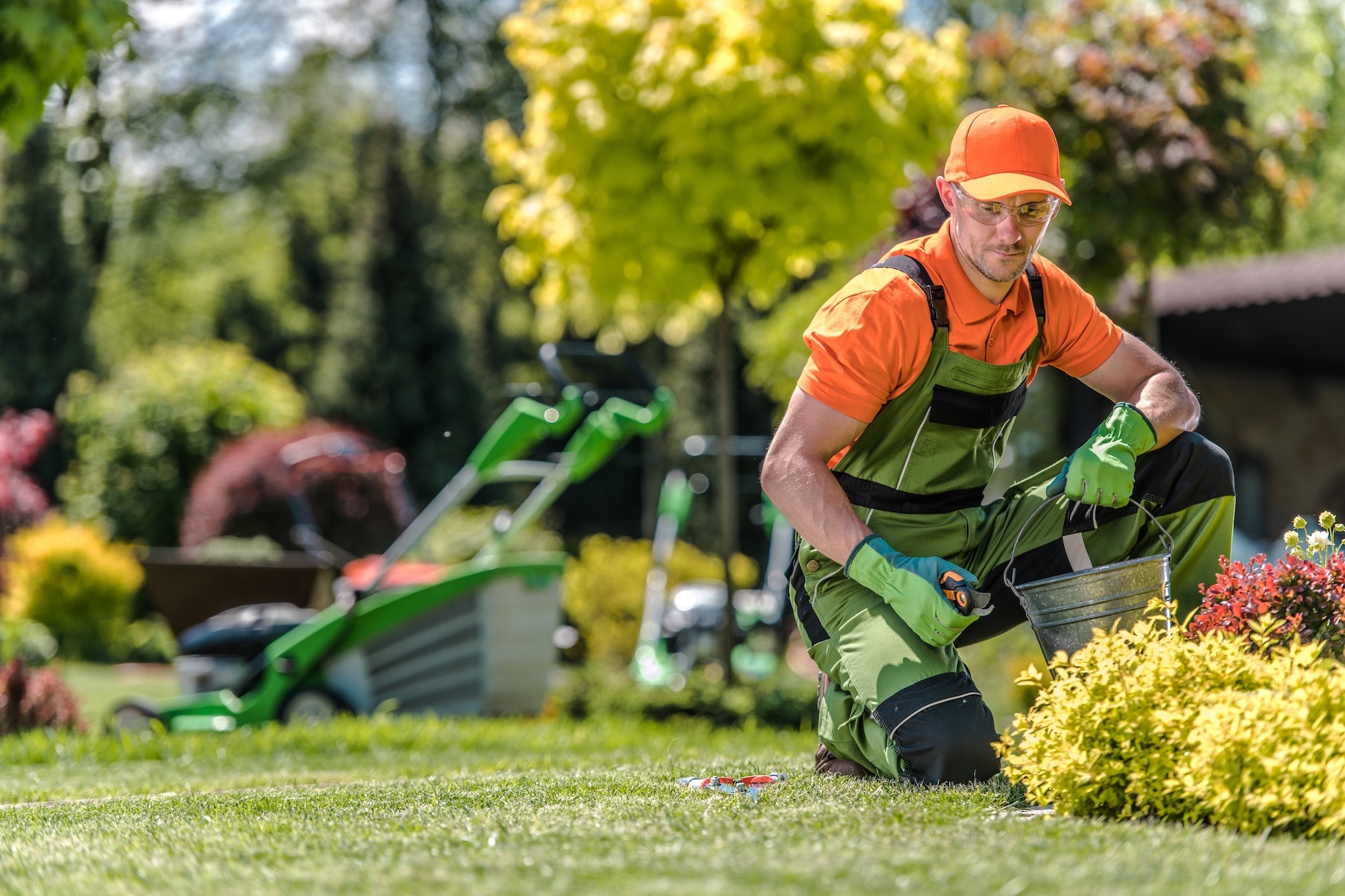 landscaping and maintenance