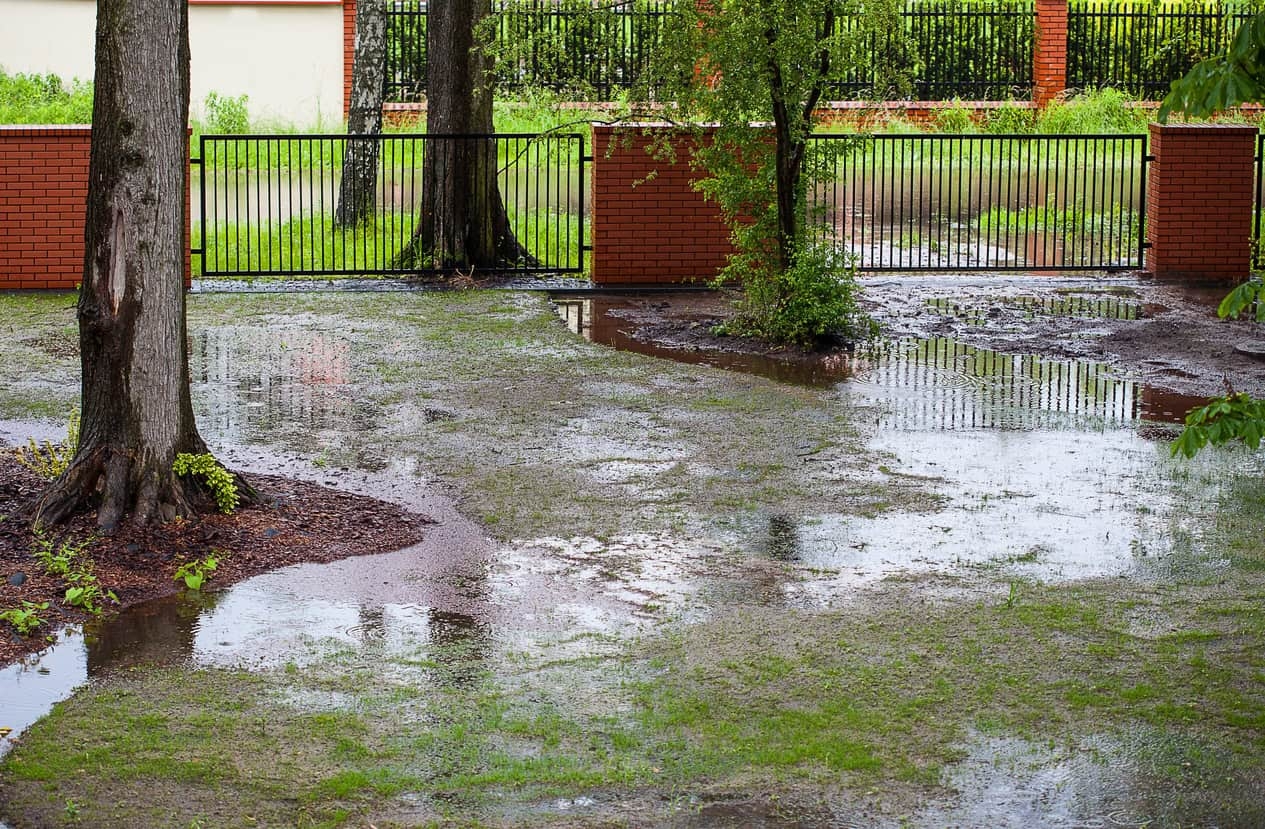7 Ways To Solve Landscape Drainage Problems DiSabatino Landscaping