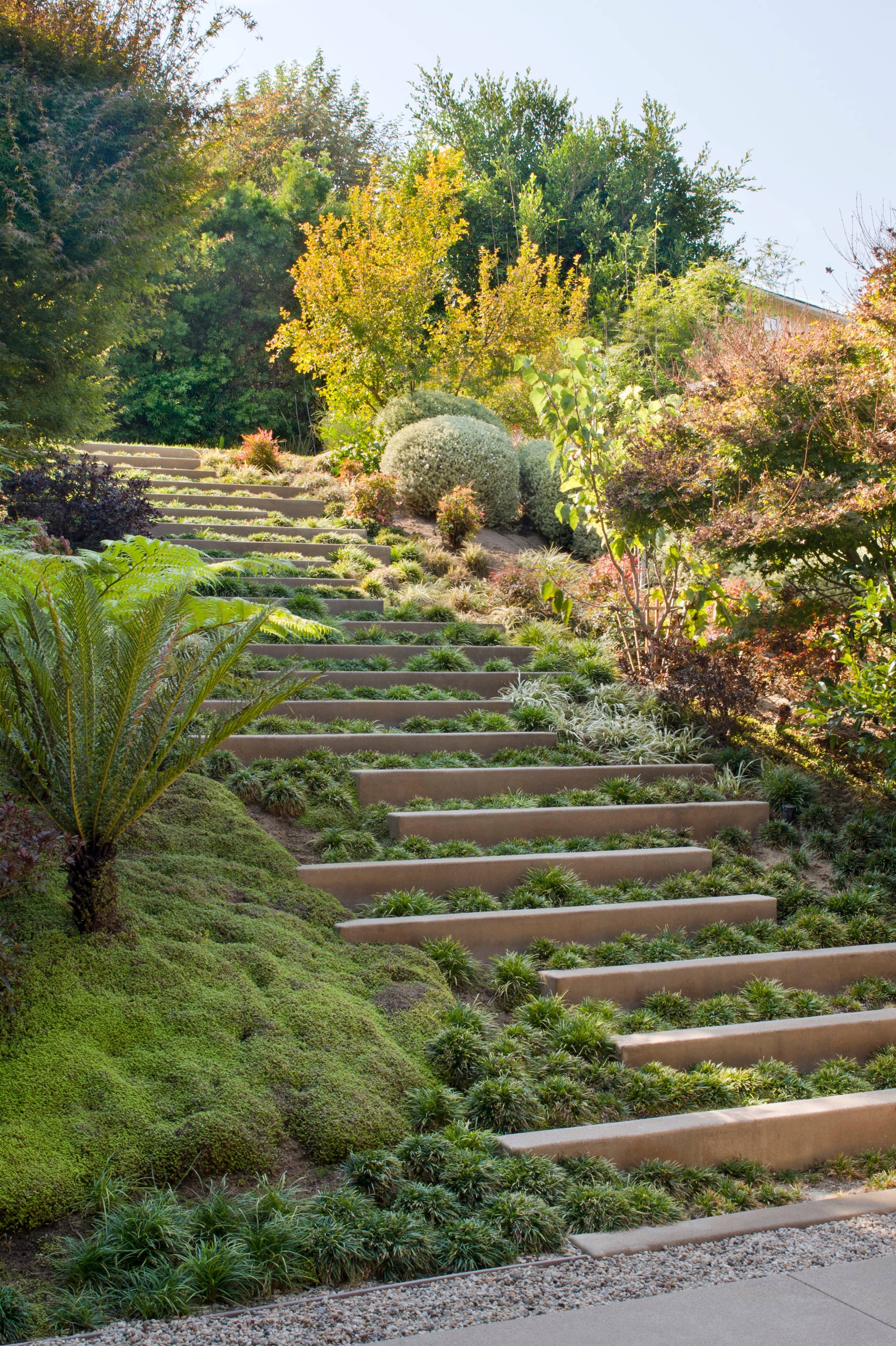 slope landscaping ideas
