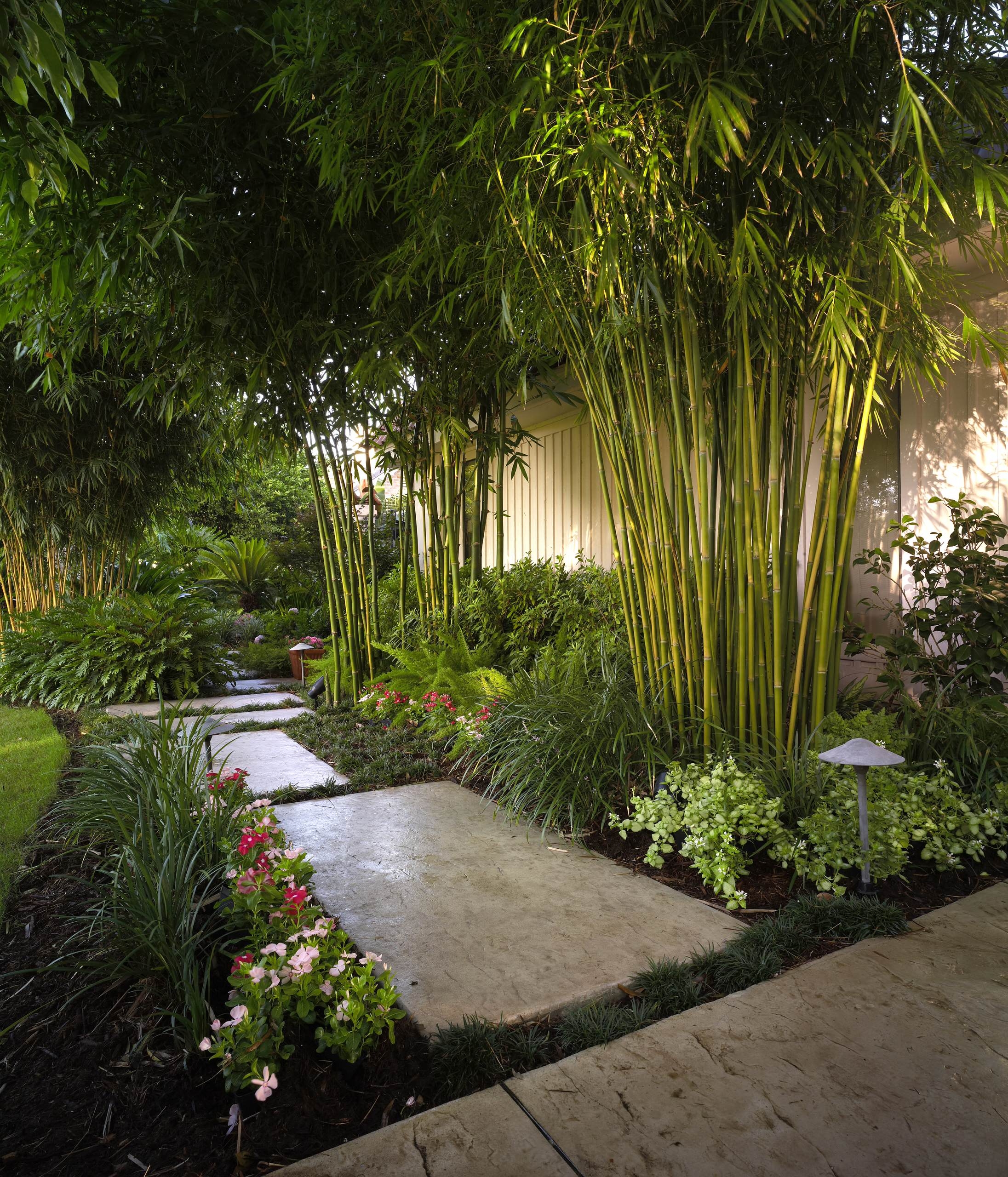75 Tropical Landscaping Ideas You ll Love August 2025 Houzz