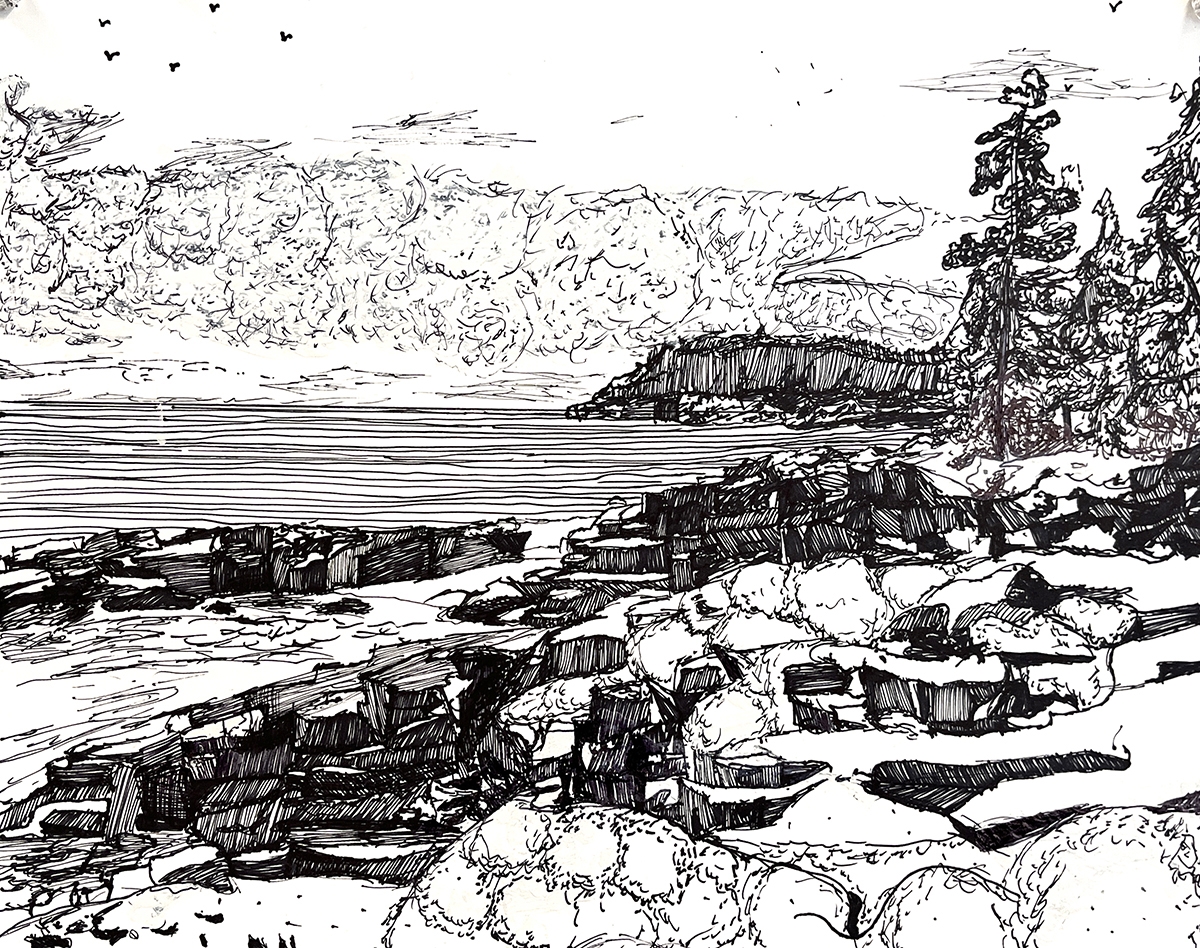 7th 8th Grade Pen Drawing Techniques And Landscape Drawing In The K 8 Art Studio With Anita Sagastegui