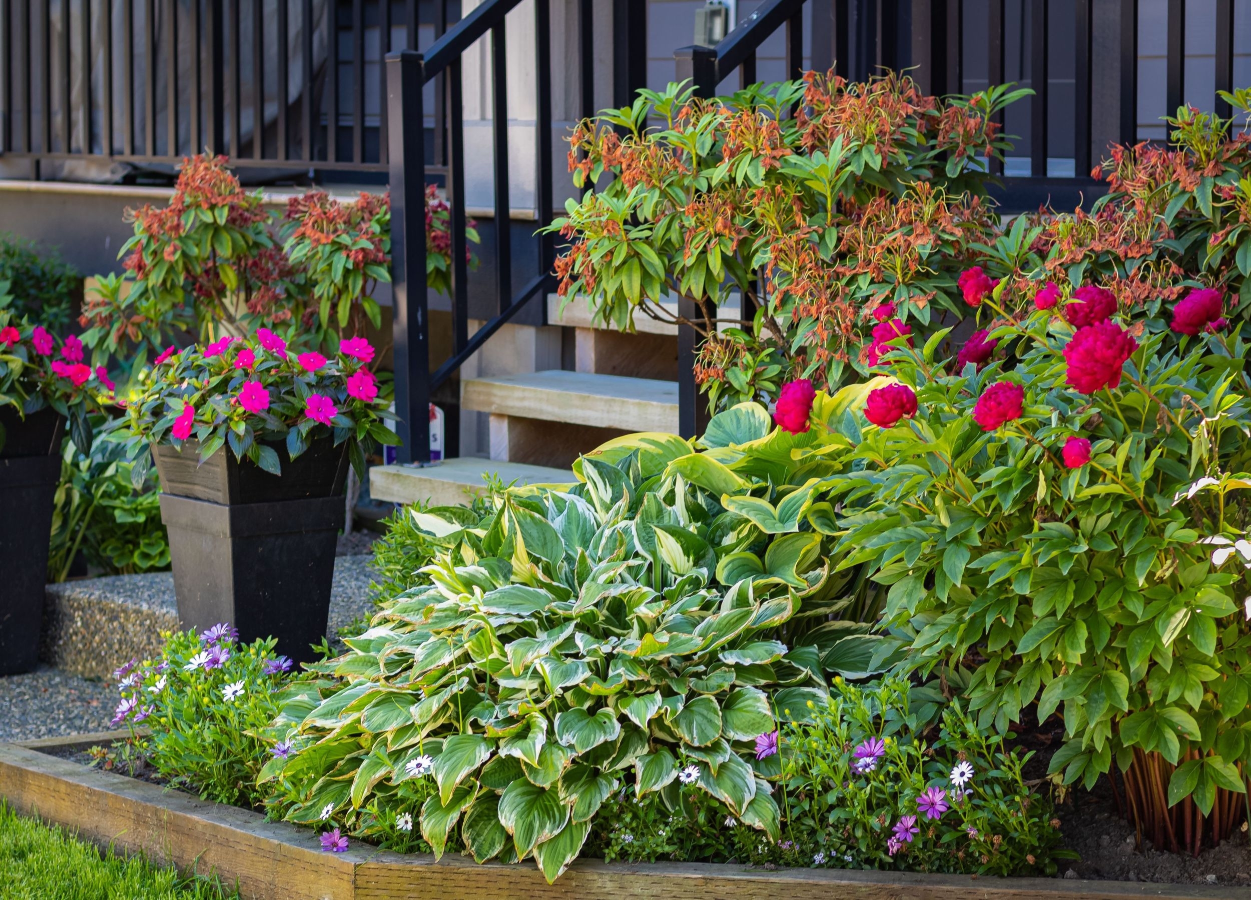 8 Cheap Front Yard Landscaping Ideas