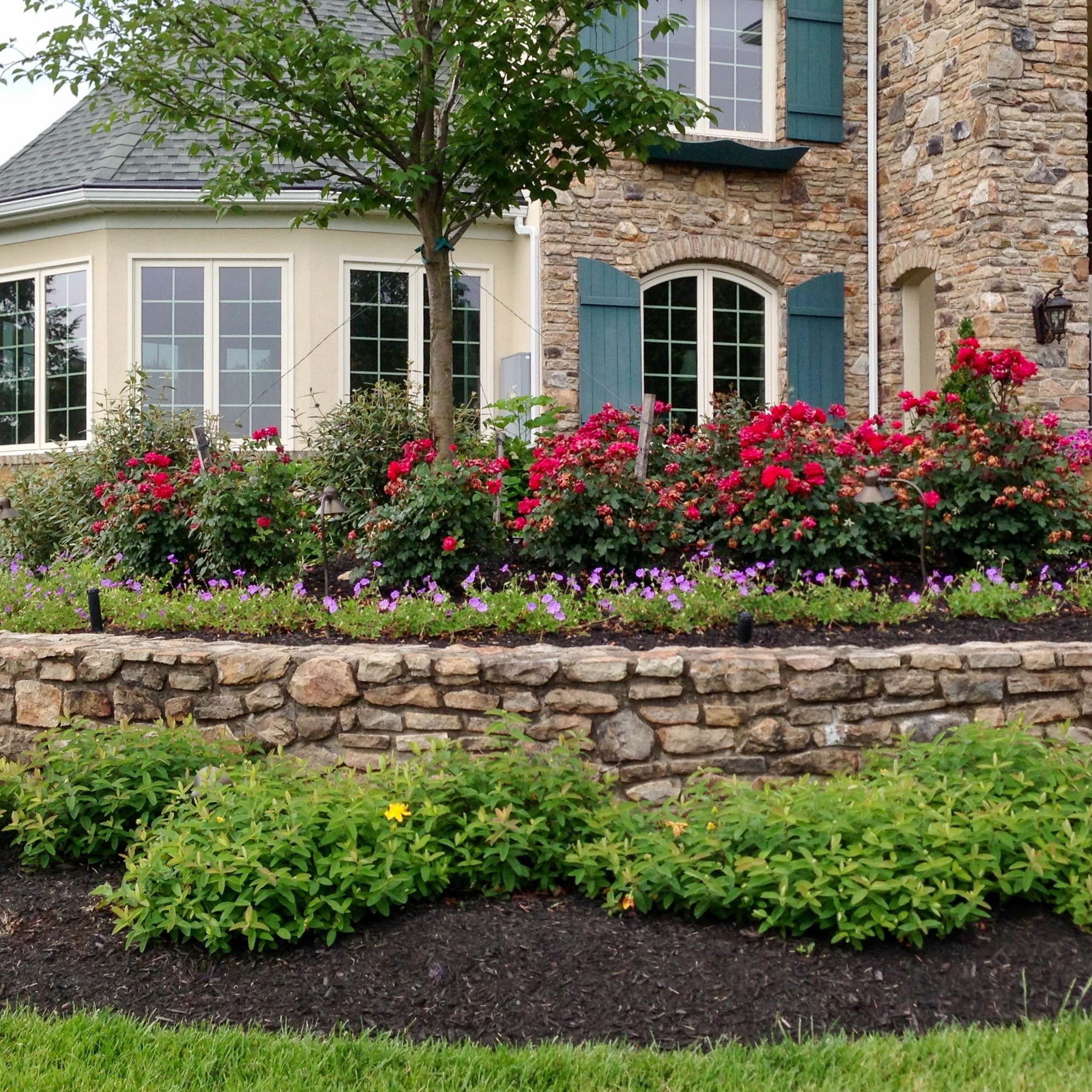front house landscaping