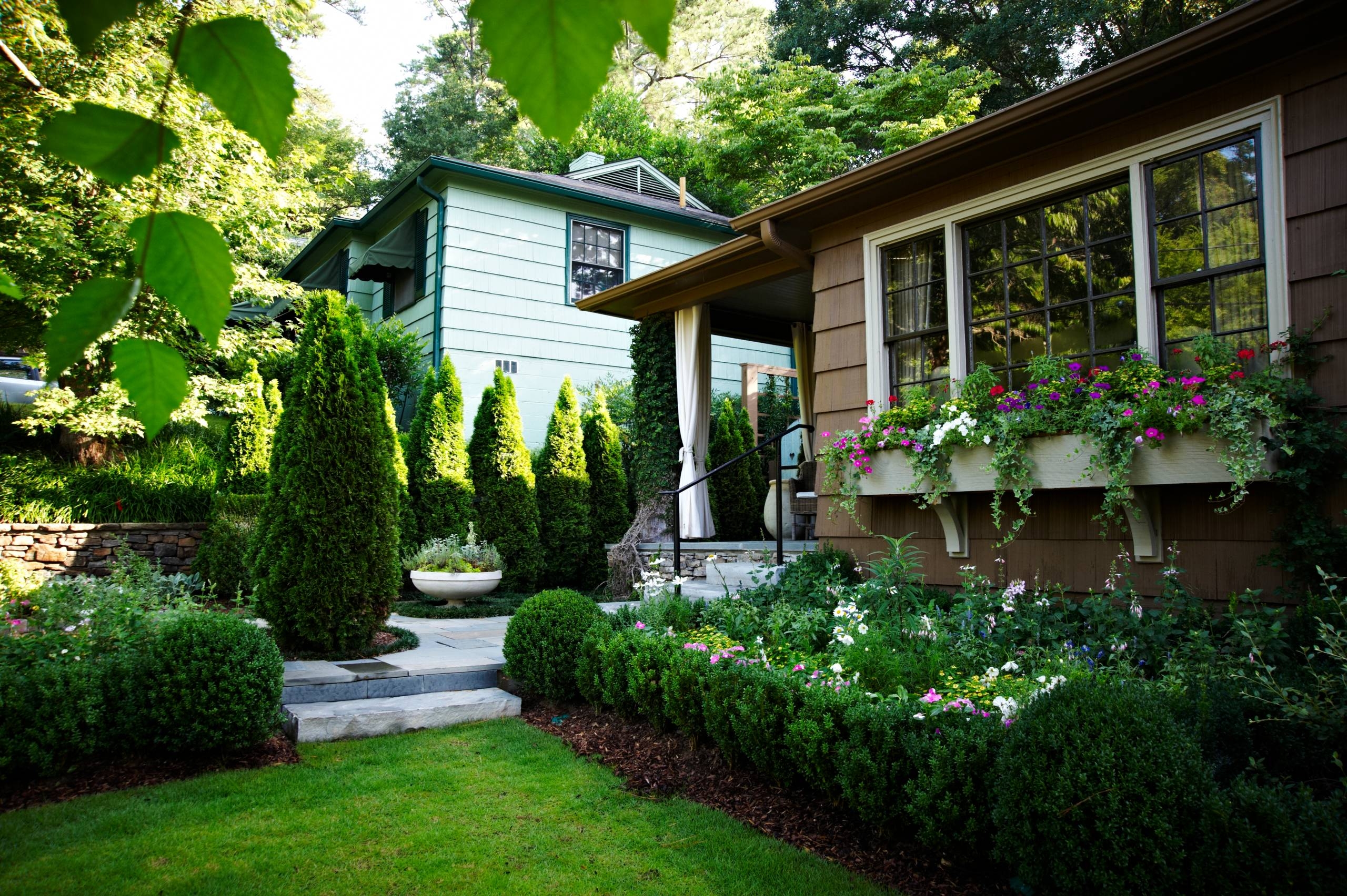 shrubs bushes landscaping