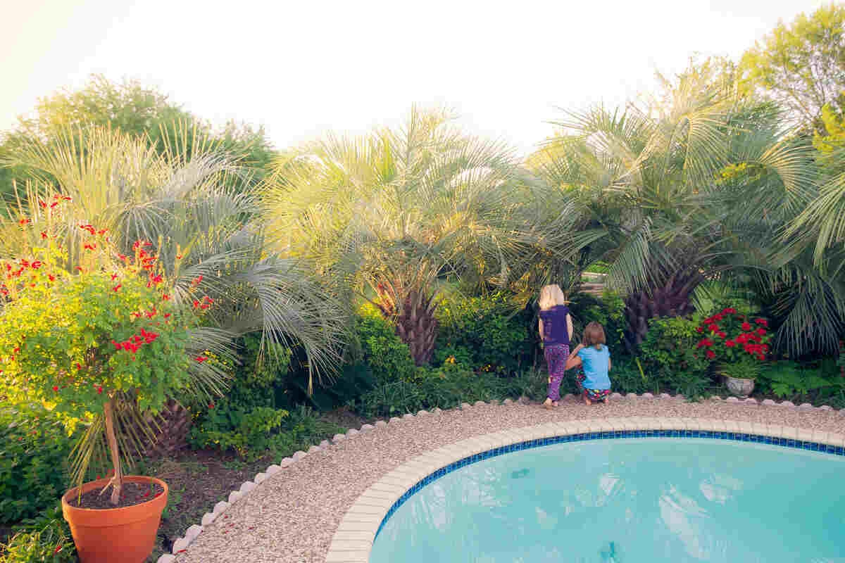 9 Low Maintenance Landscaping Ideas For San Antonio