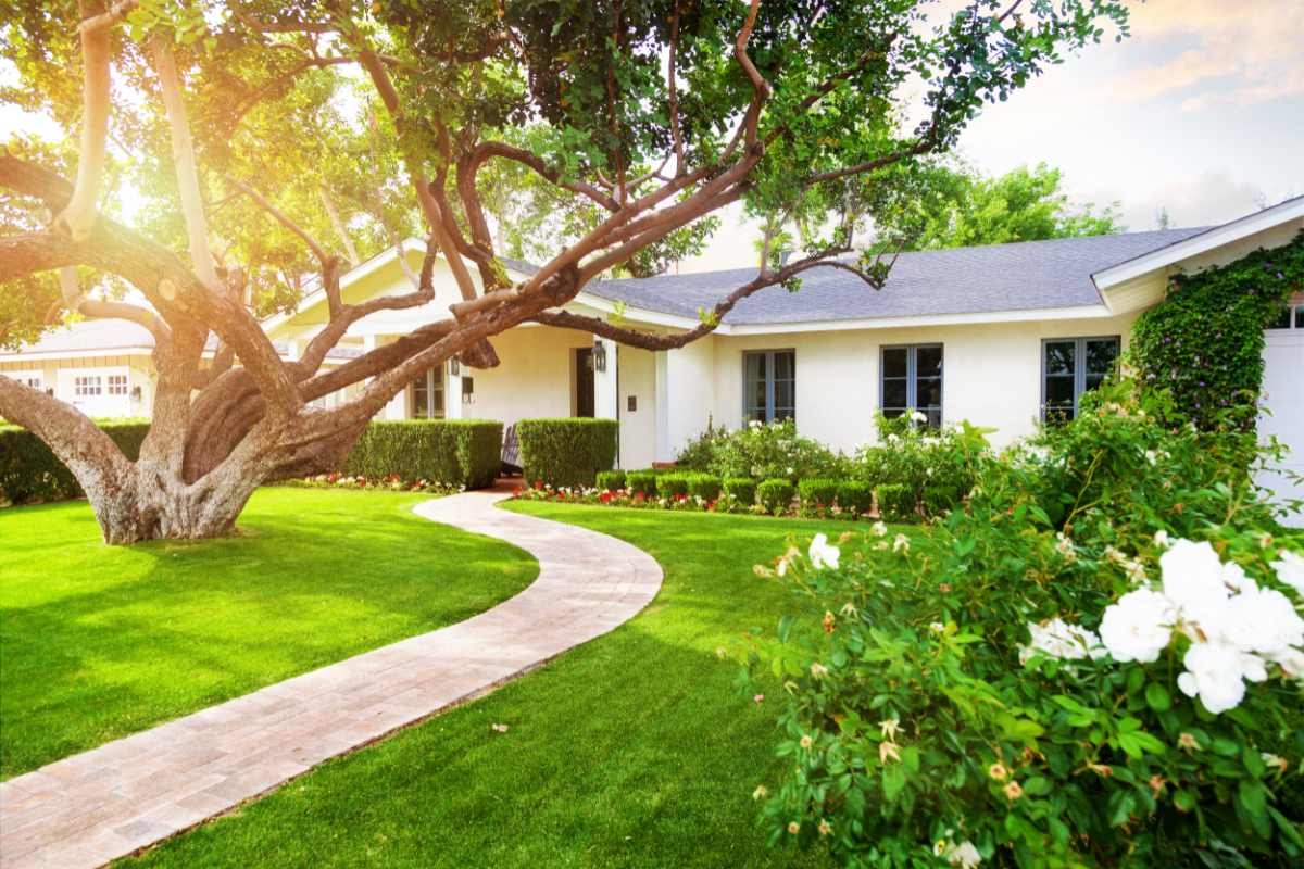 9 Ways To Landscape Around Trees