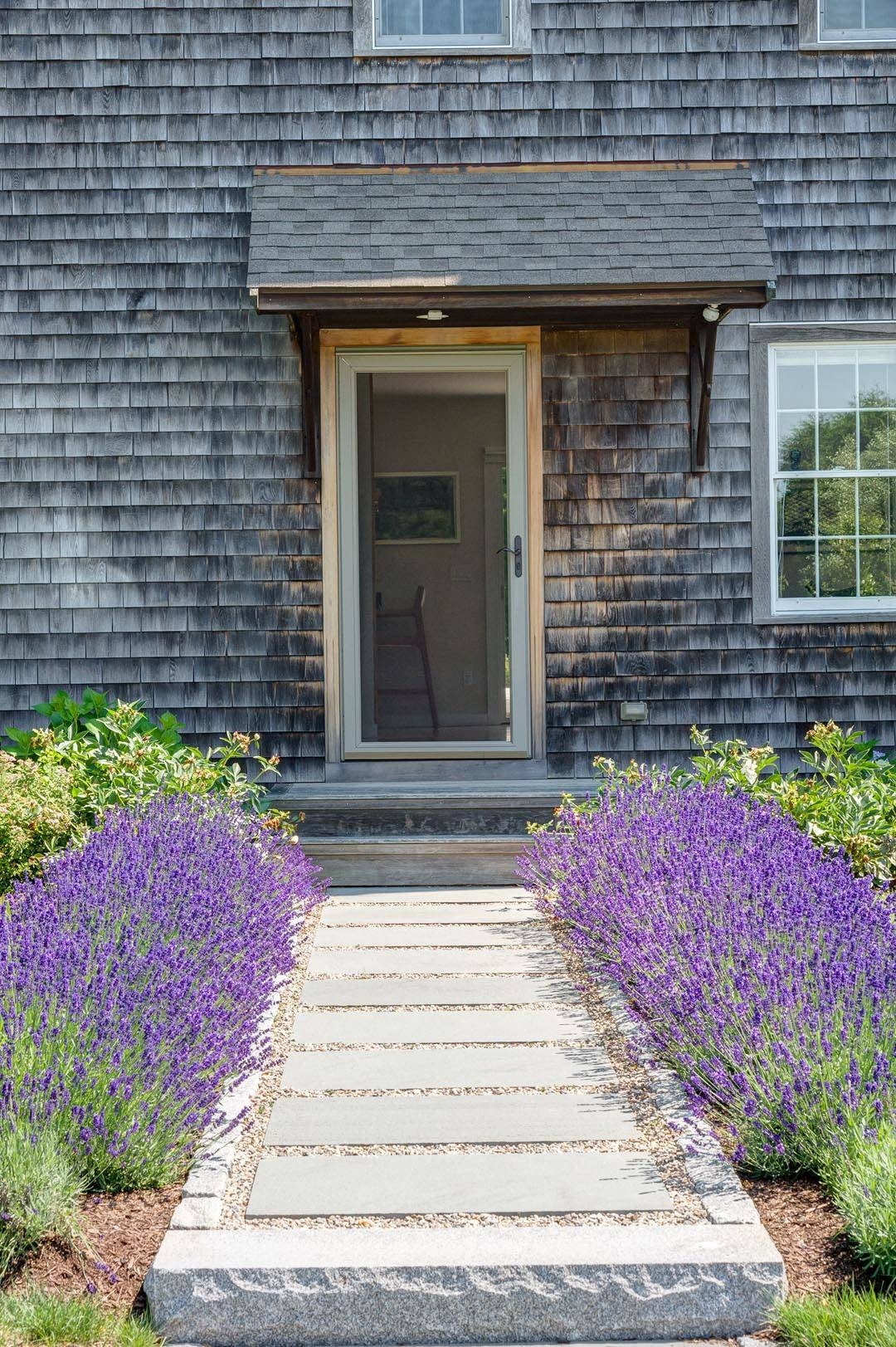 9 Ways To Use Lavender In Your Garden Design