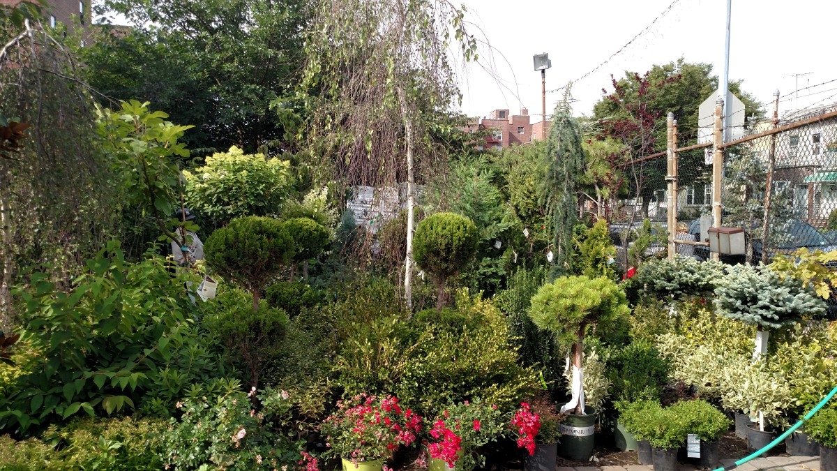 A Guide To Gardening In Bay Ridge Hey Ridge