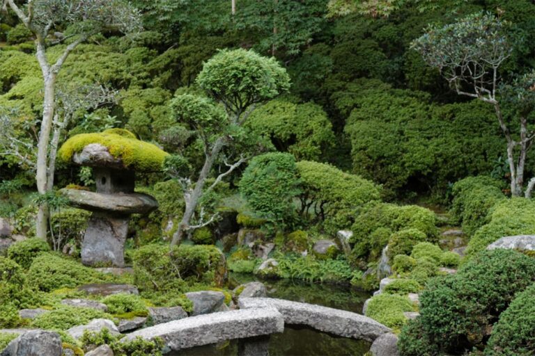 A Guide To Japanese Garden Style KonMari The Official Website Of Marie Kondo